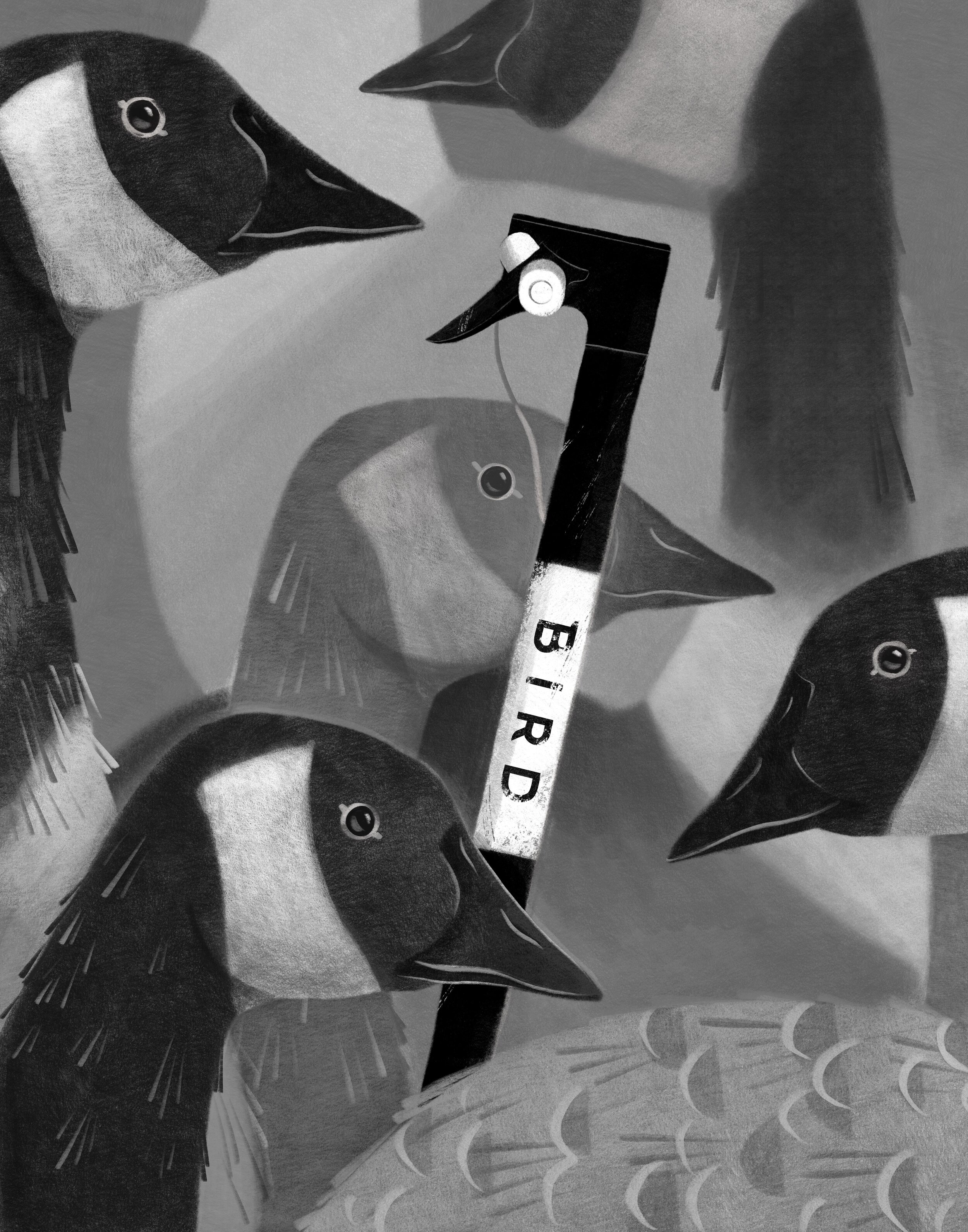 Untitled_Artwork 30.jpg