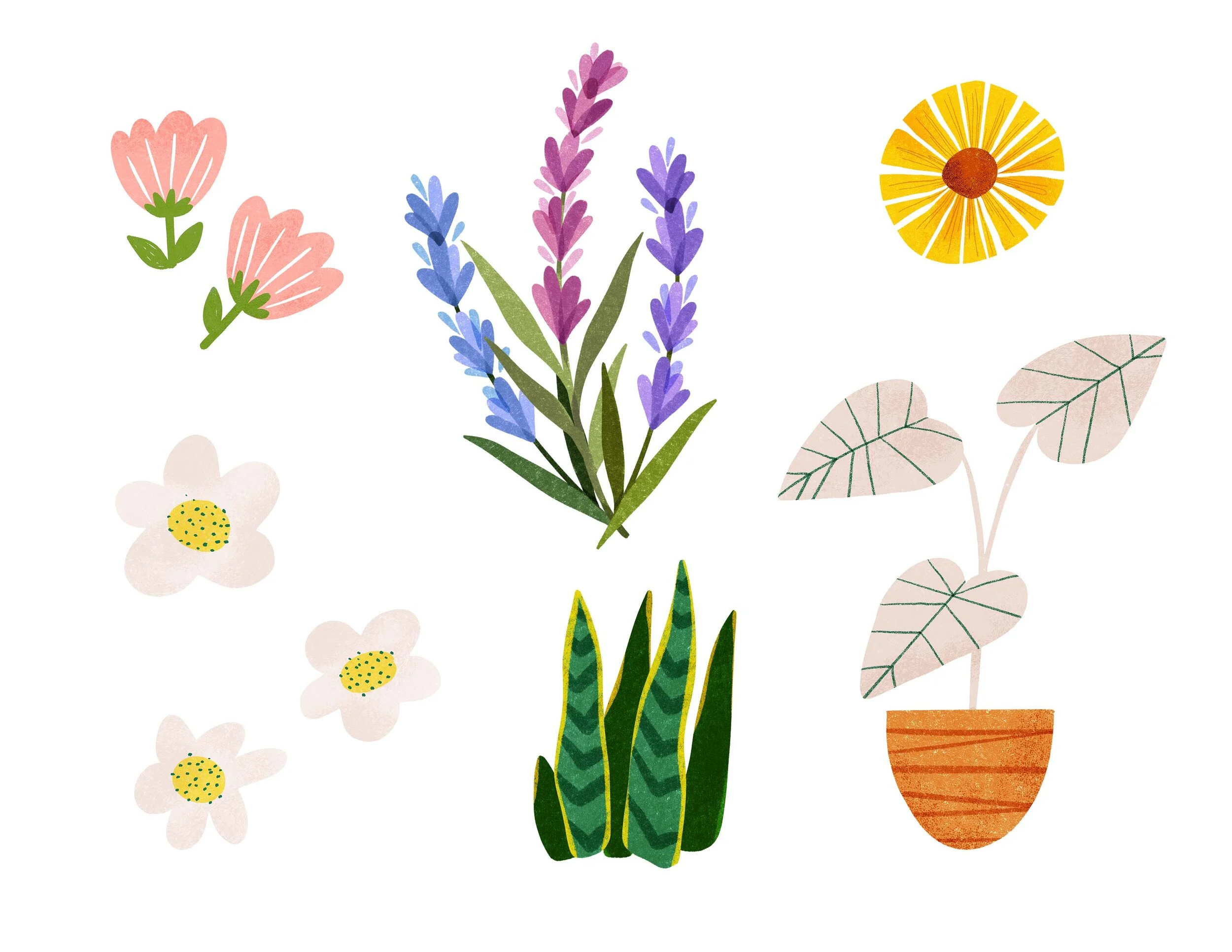 Web_Indv. Flowers.jpg
