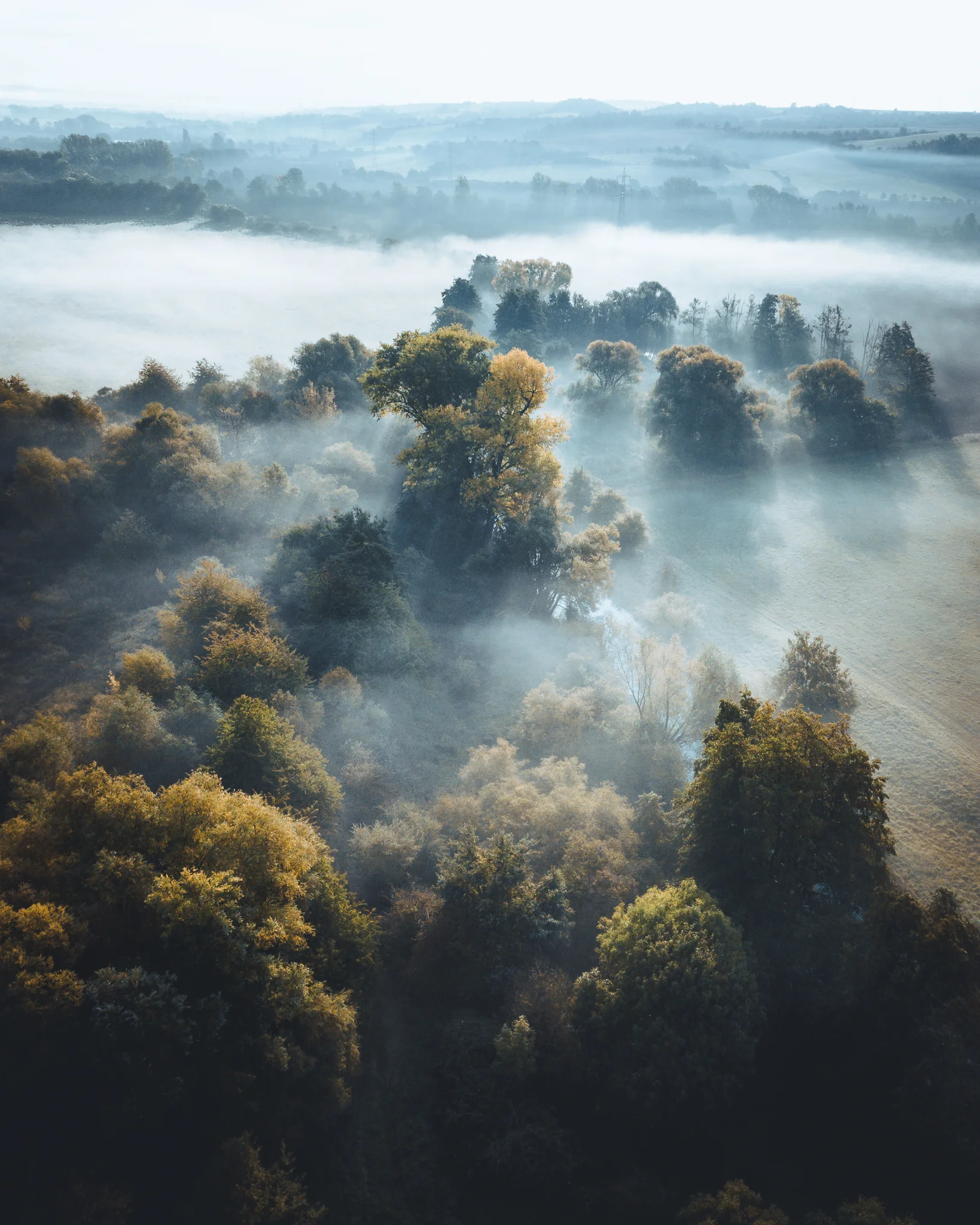 DJI_0139.jpg