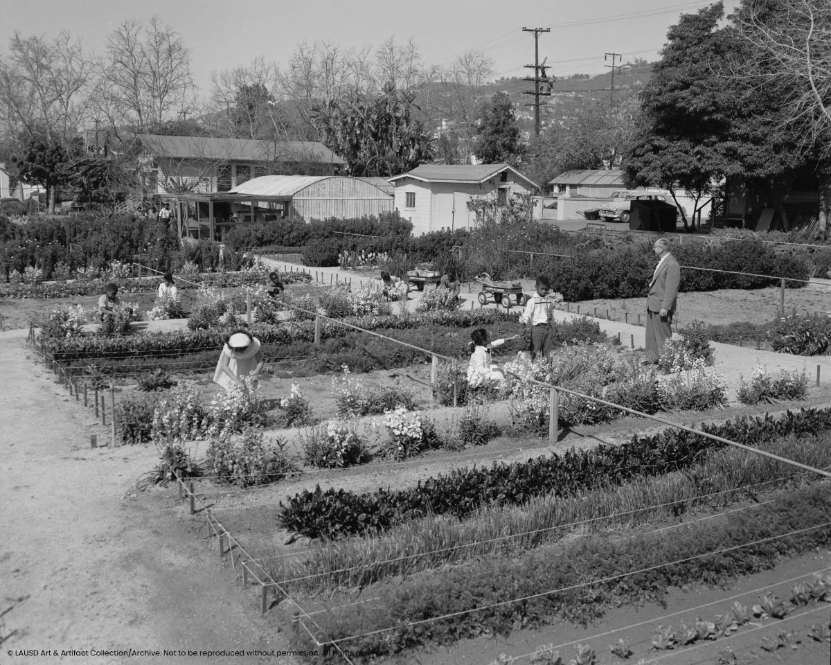 ph3397021_garden.jpg