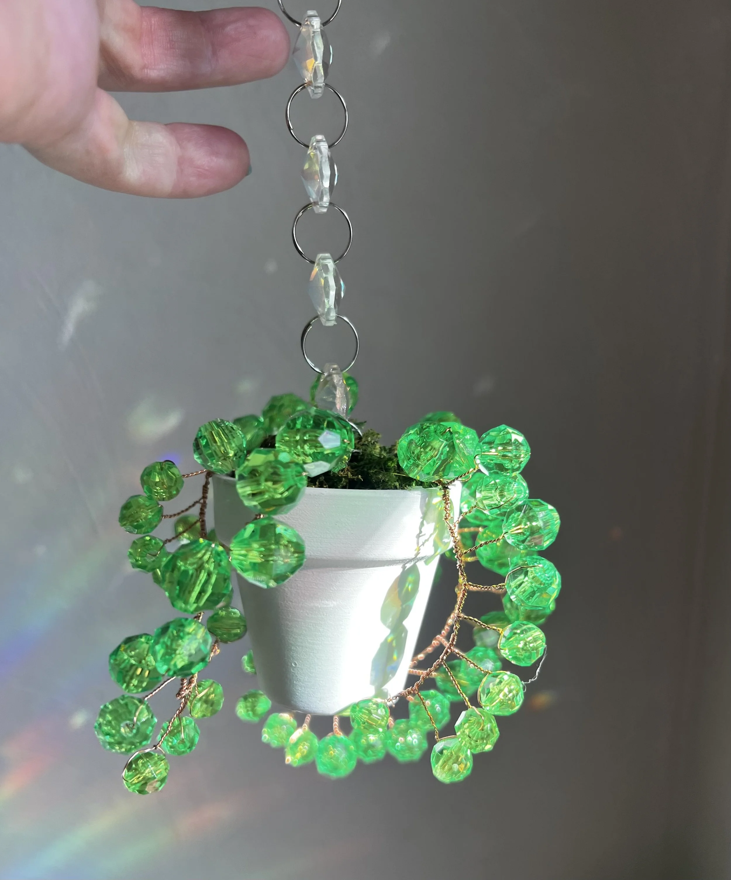 Gemstone Suncatcher Hanging Plant. String of Pearls