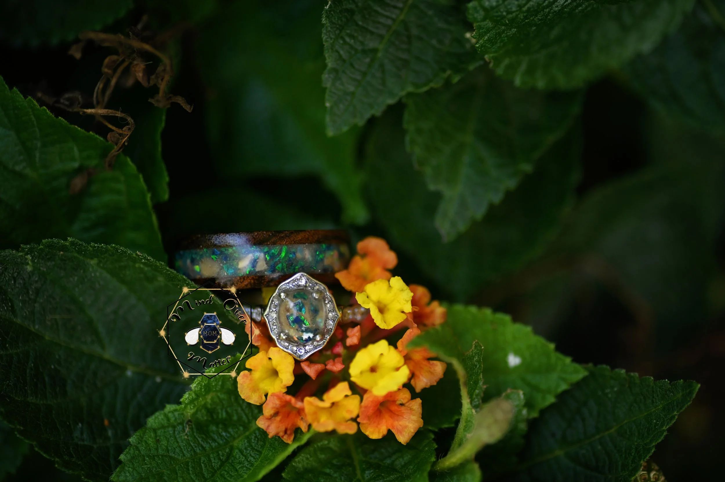 DSC_1559.jpg