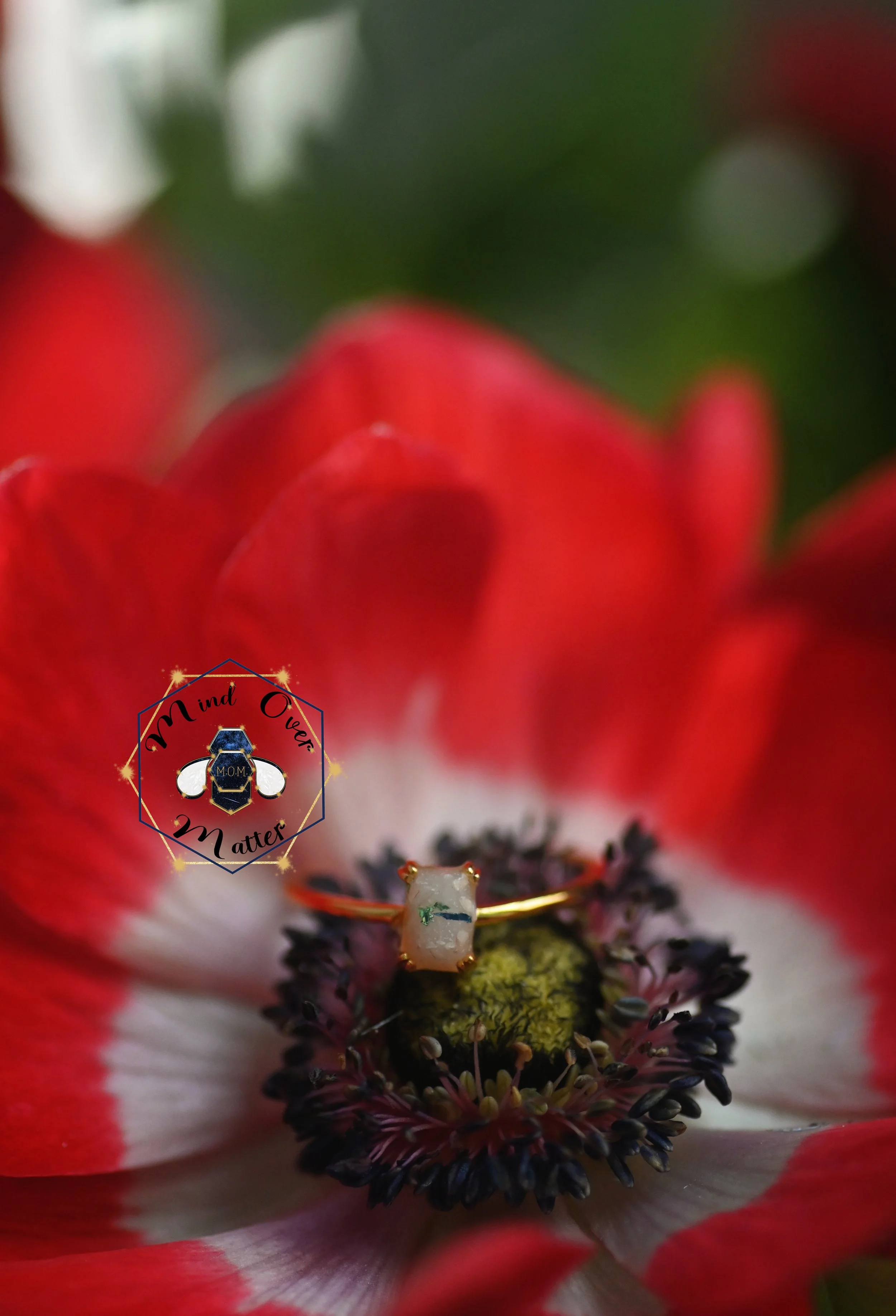 DSC_4841.jpg