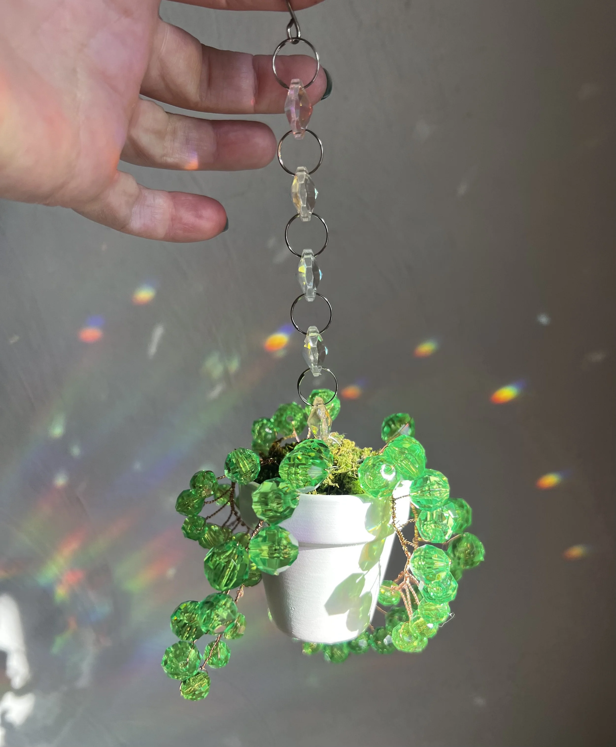 Gemstone Suncatcher Hanging Plant. String of Pearls