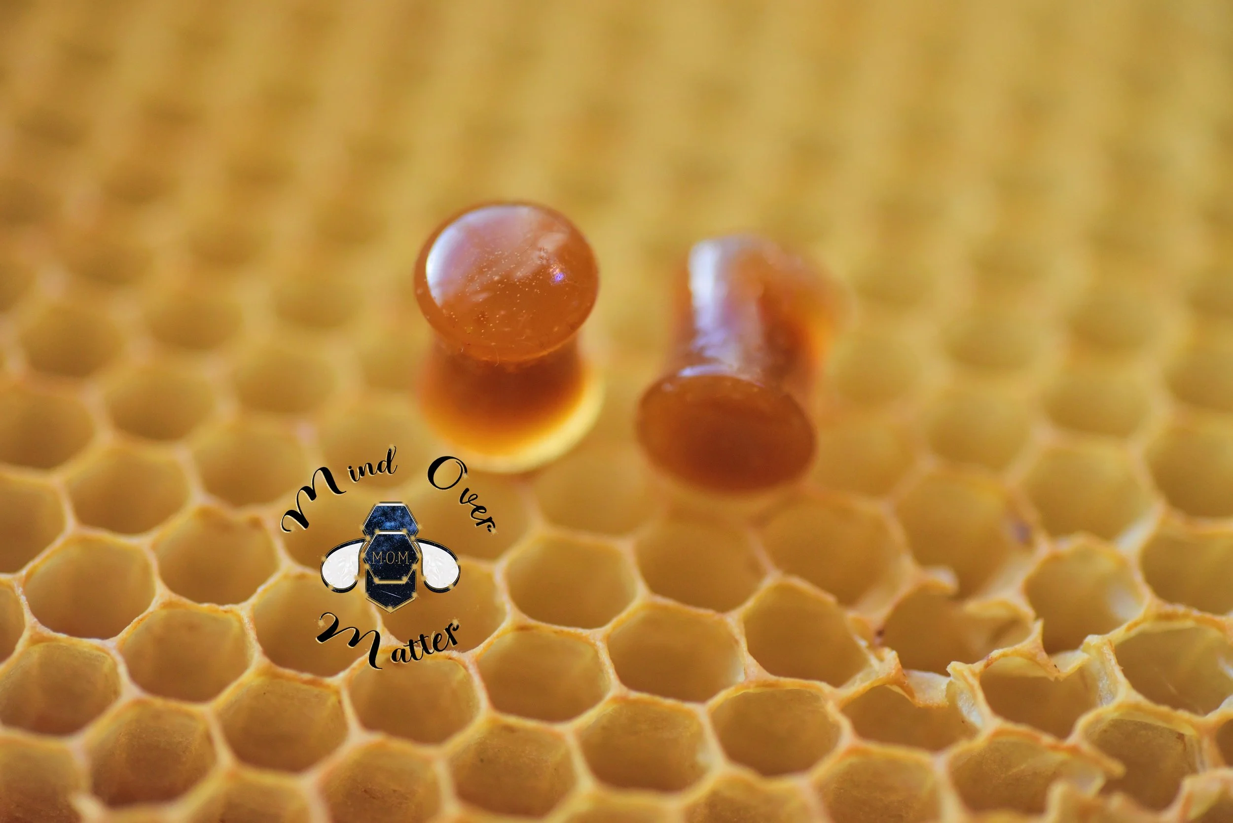 Gauge plugs made with honey