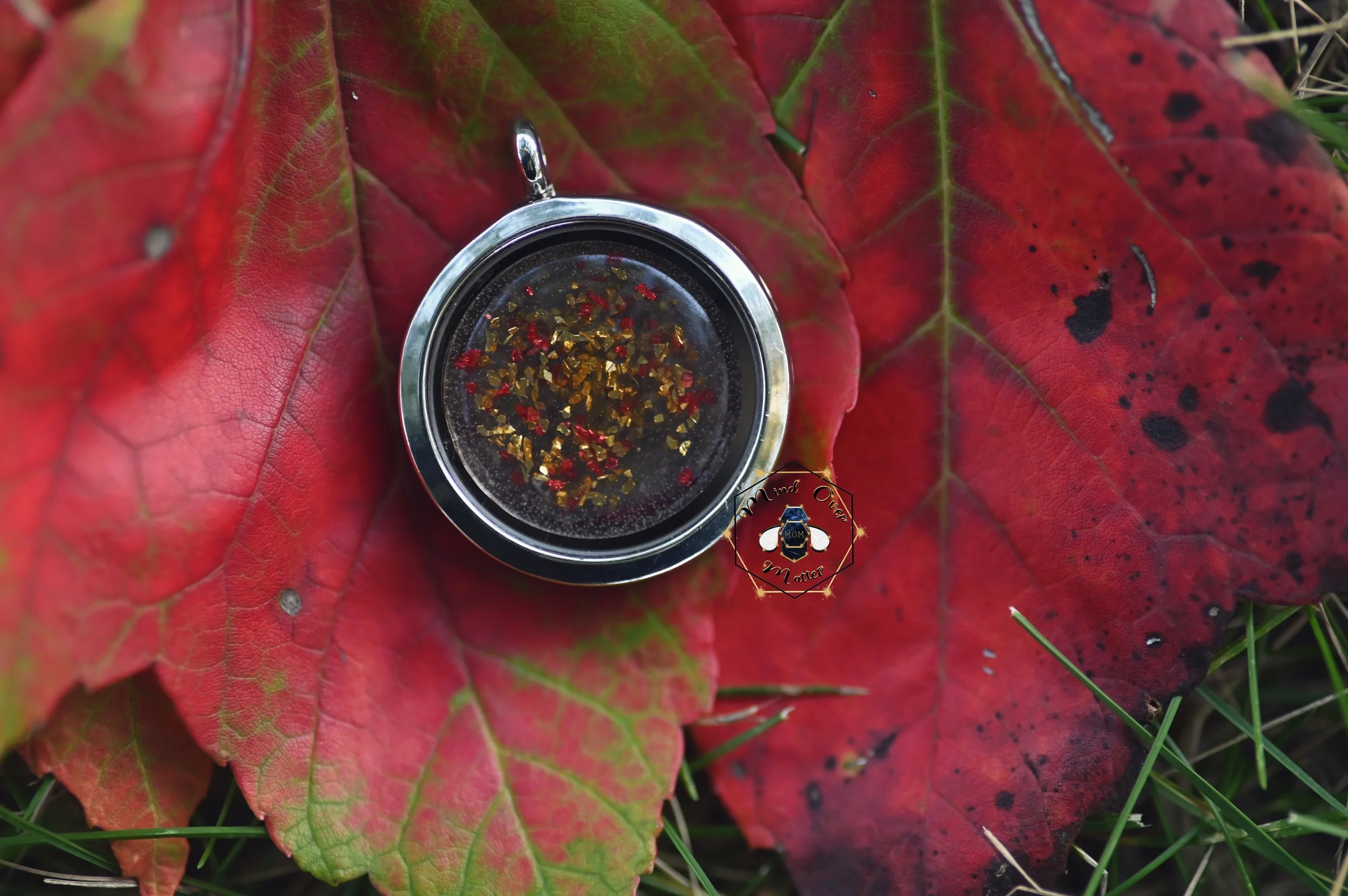 DSC_3108.jpg