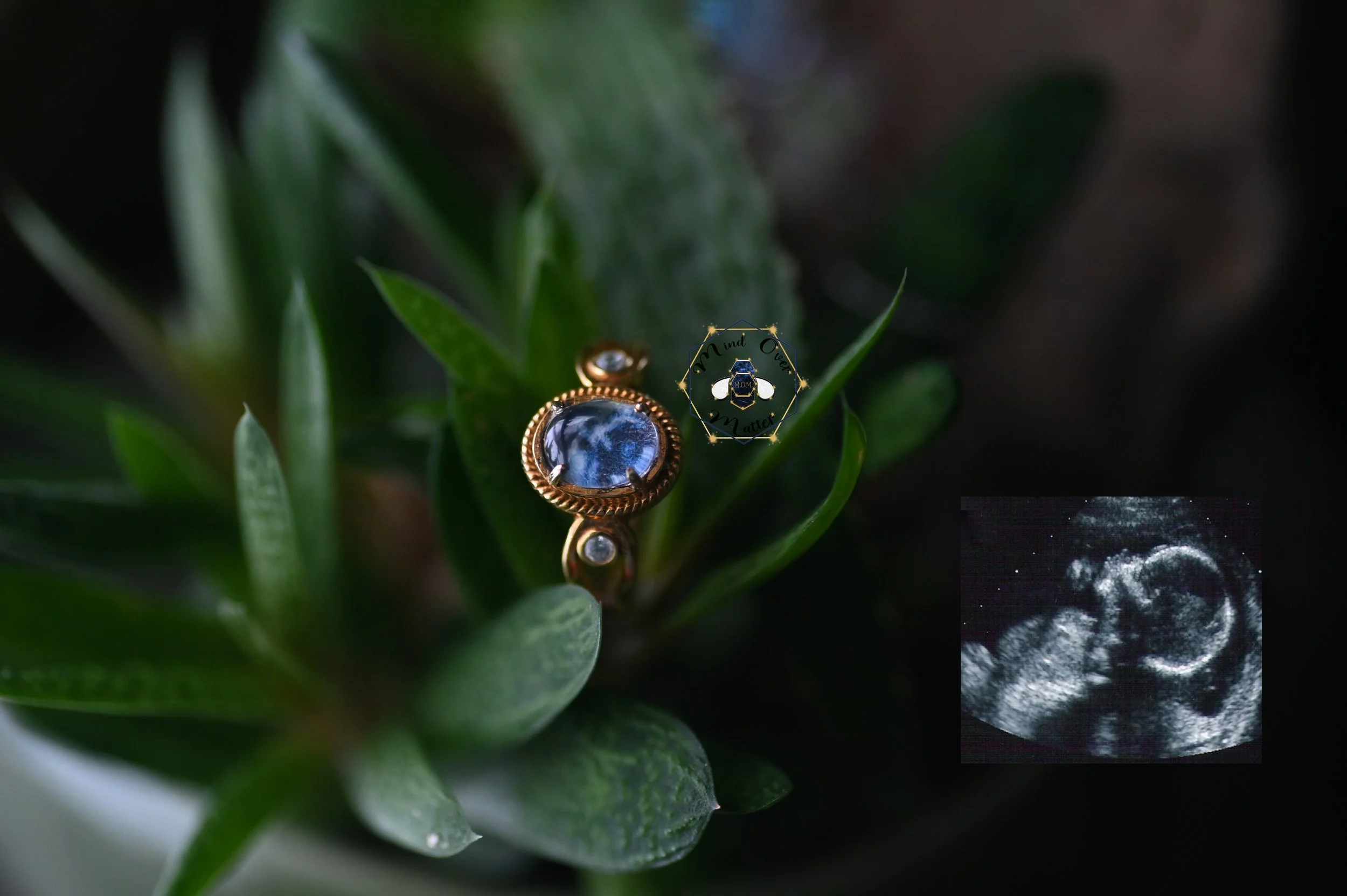 Tiny Universe