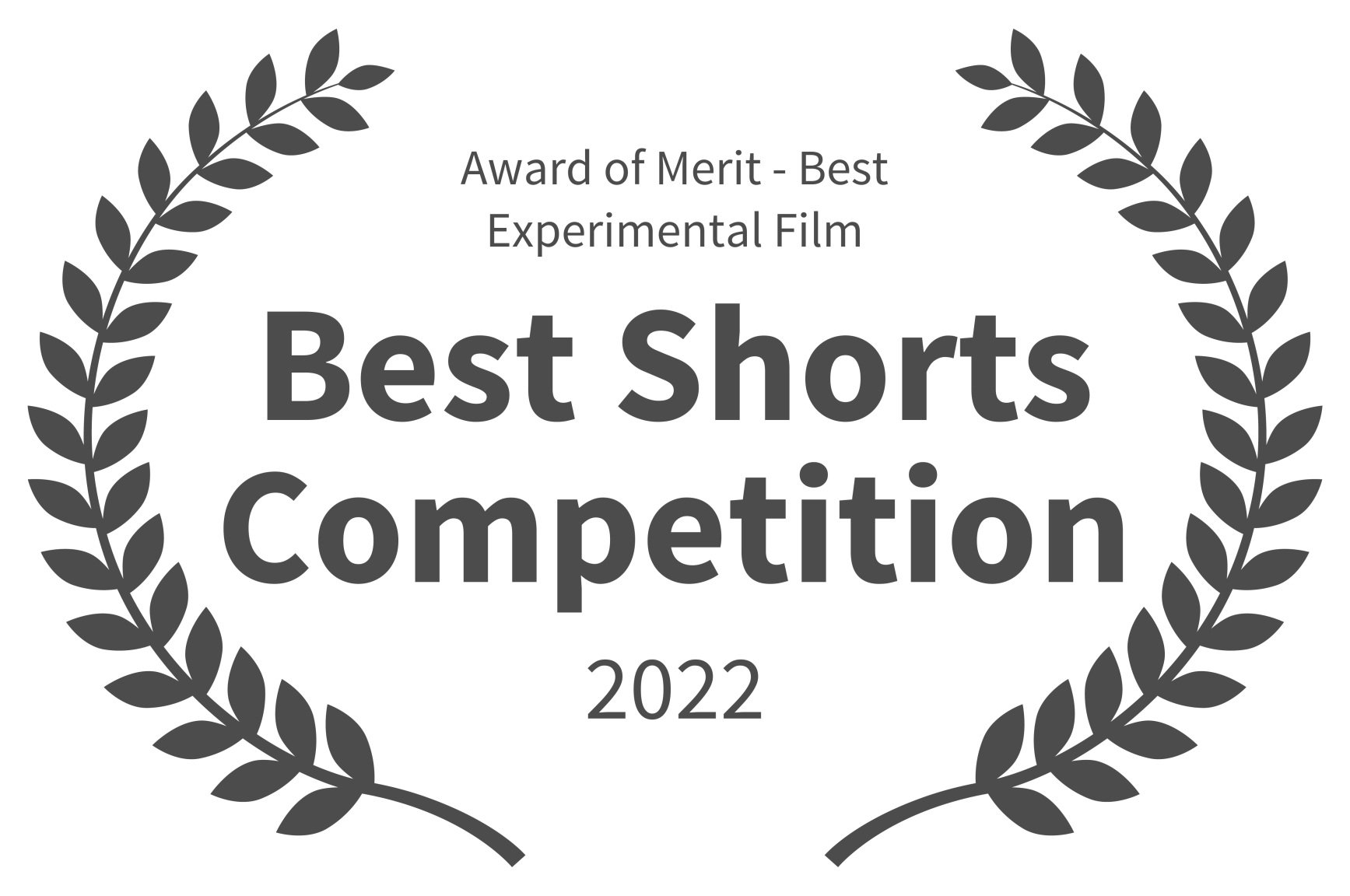 Award+of+Merit+-+Best+Experimental+Film+-+Best+Shorts+Competition+-+2022.jpg