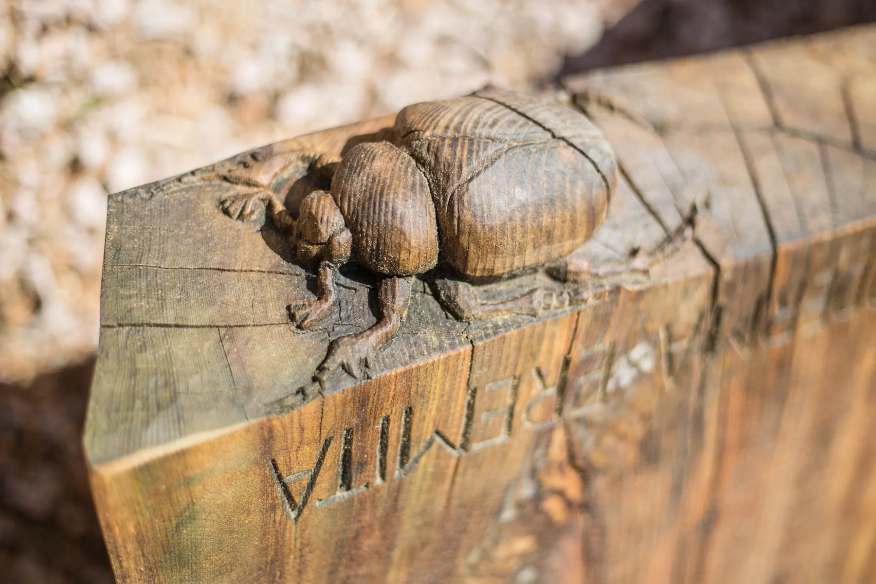 Carved Wooden Bug
