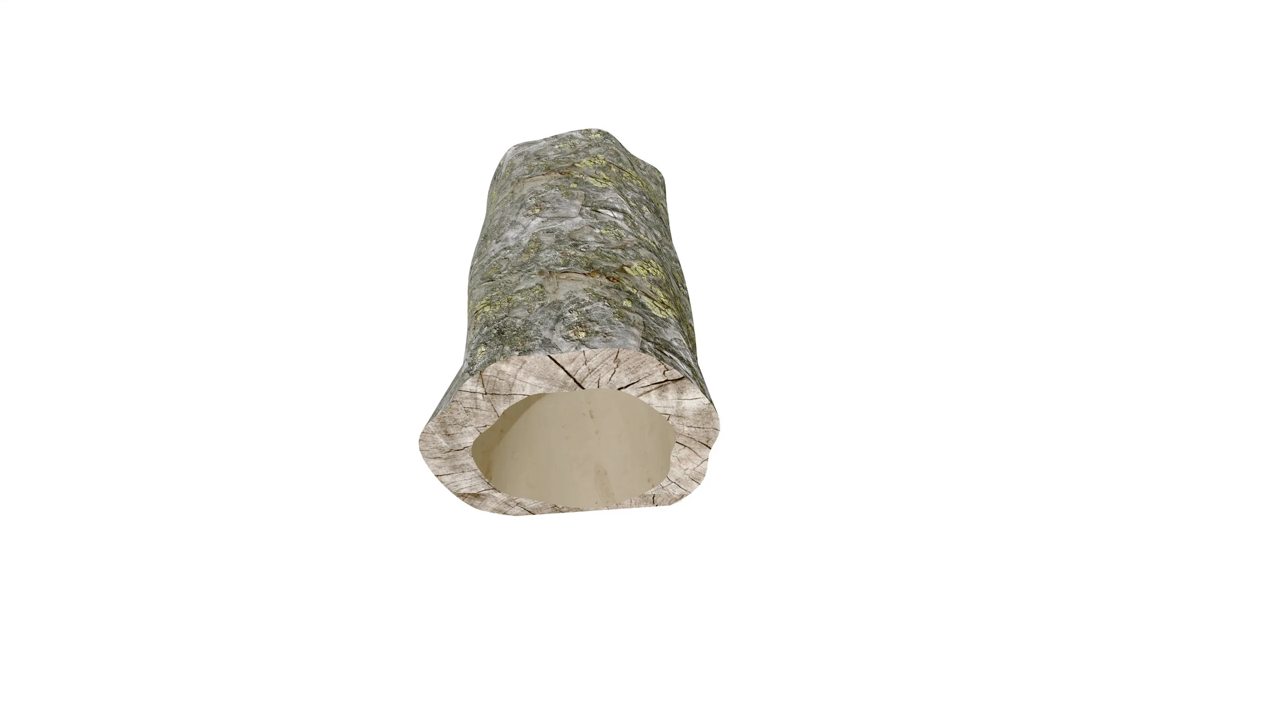 Tunelis_4 copy.jpg
