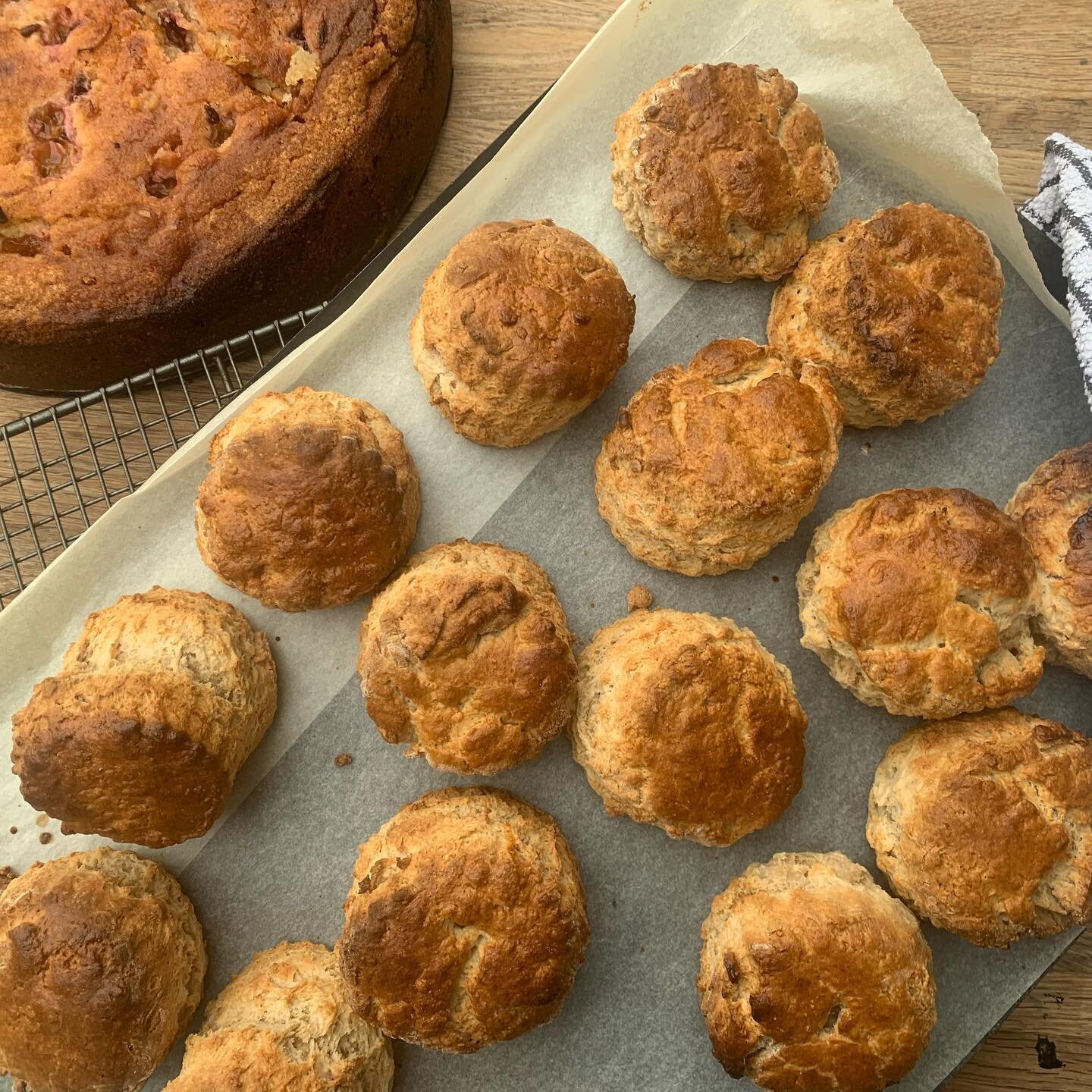 Come and get em this afternoon - Asthall Manor gardens and the potting shed open 1-5 pm - bring a brolly and donate to #pancreaticcanceruk #thepottingshedasthall #asthallmanor #asthallmanorgardens #afternoontea #sconesofinstagram #teaandcake #fundrai