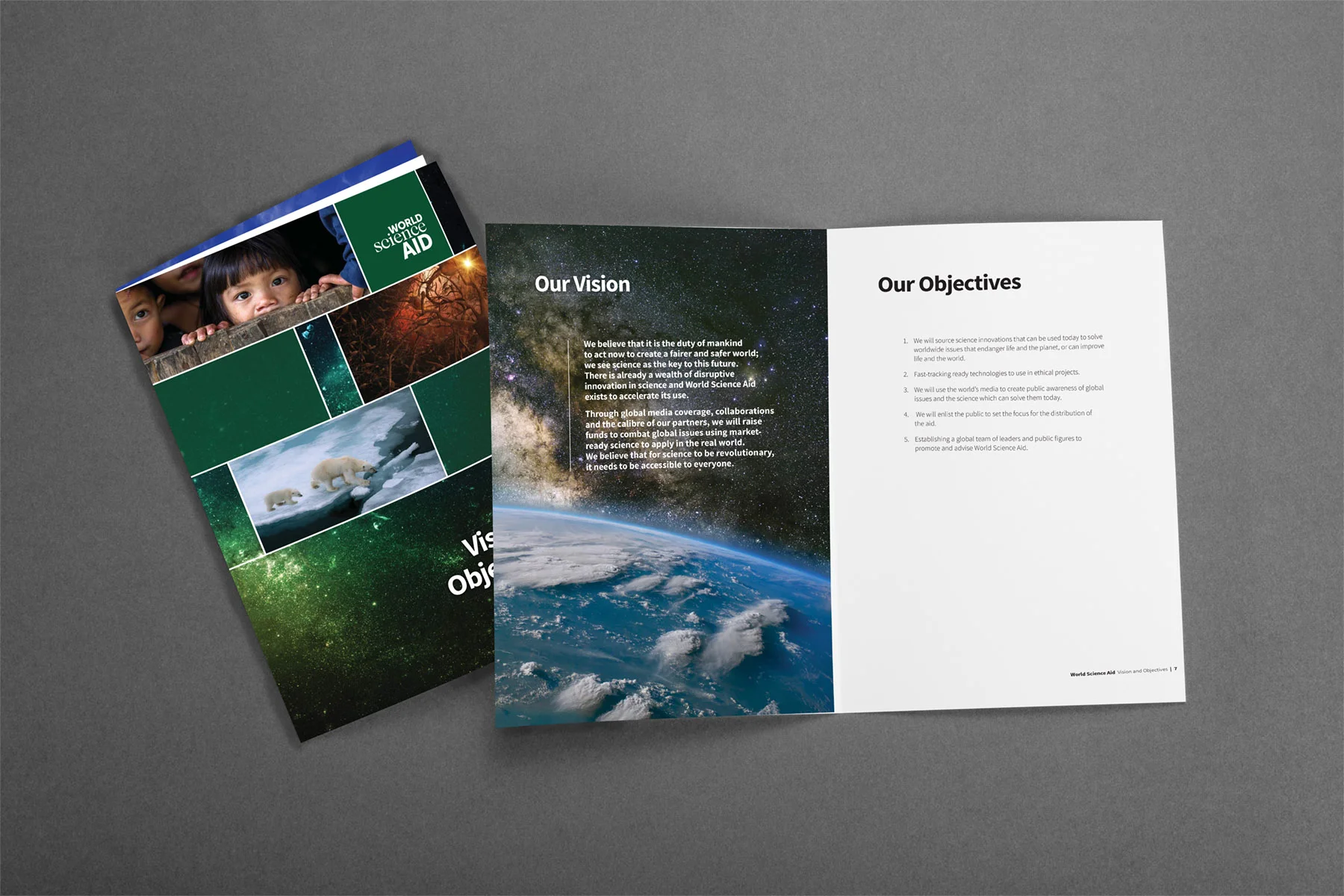 Vision Brochure.jpg