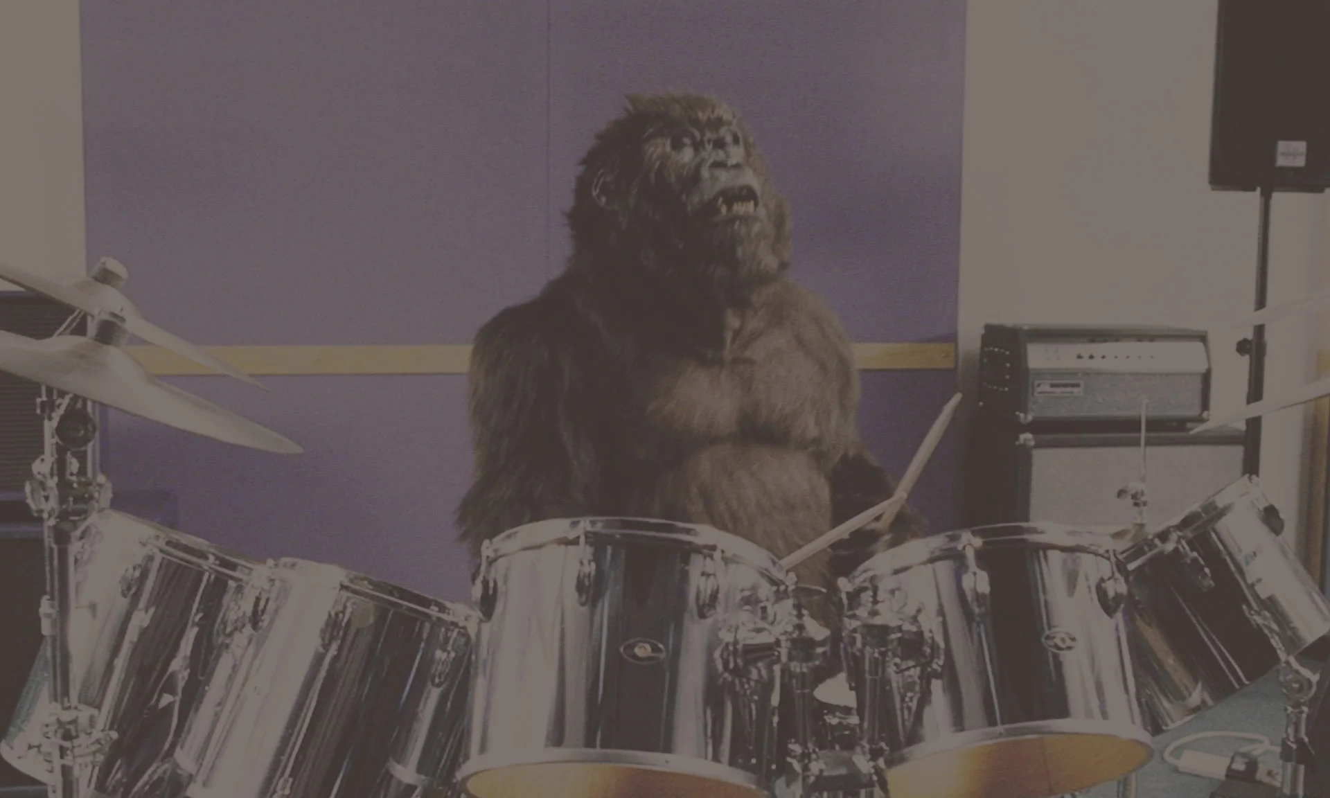 Cadbury's Gorilla.jpg