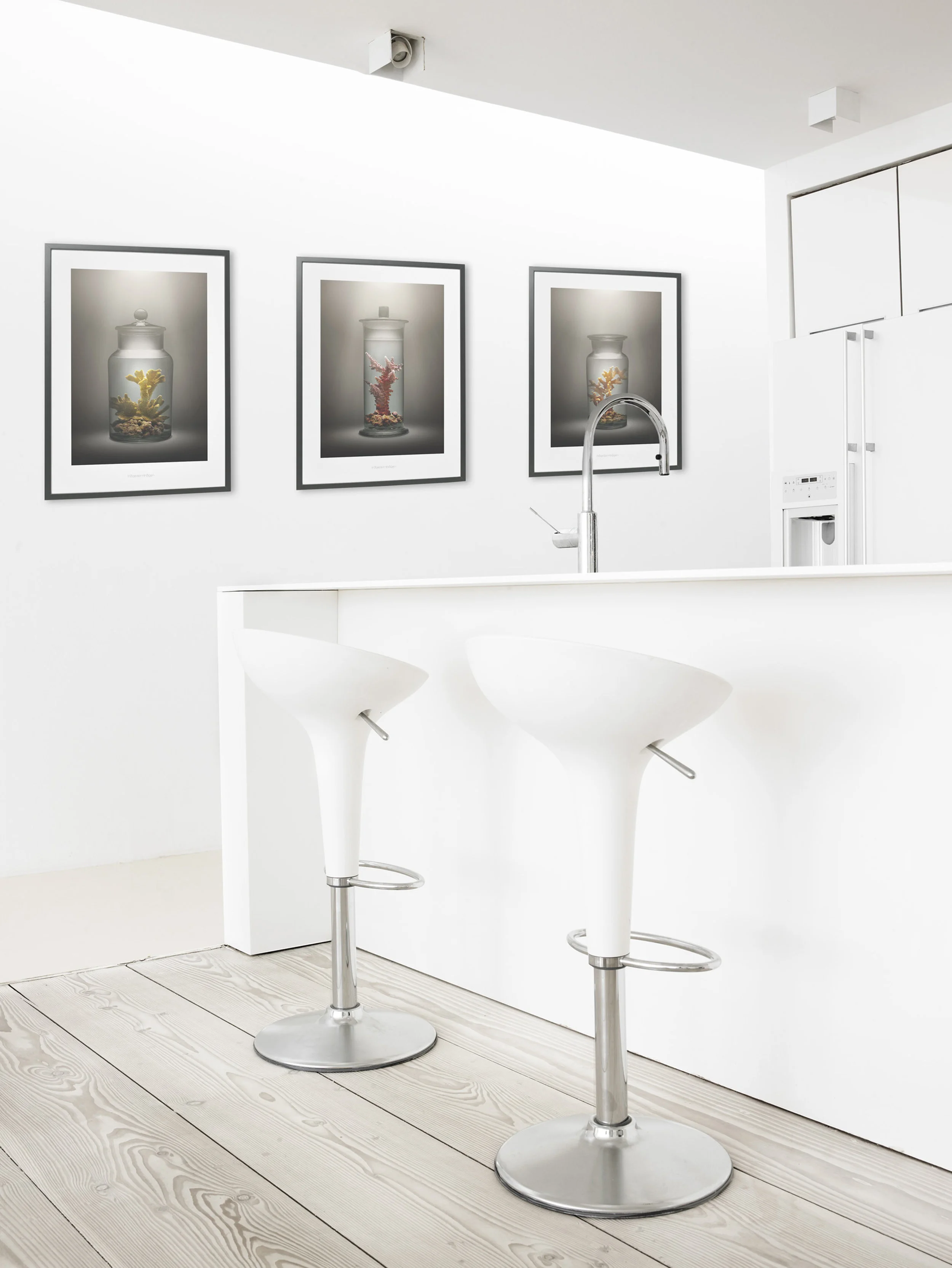 hagedornhagen_hus-corals_0.jpg