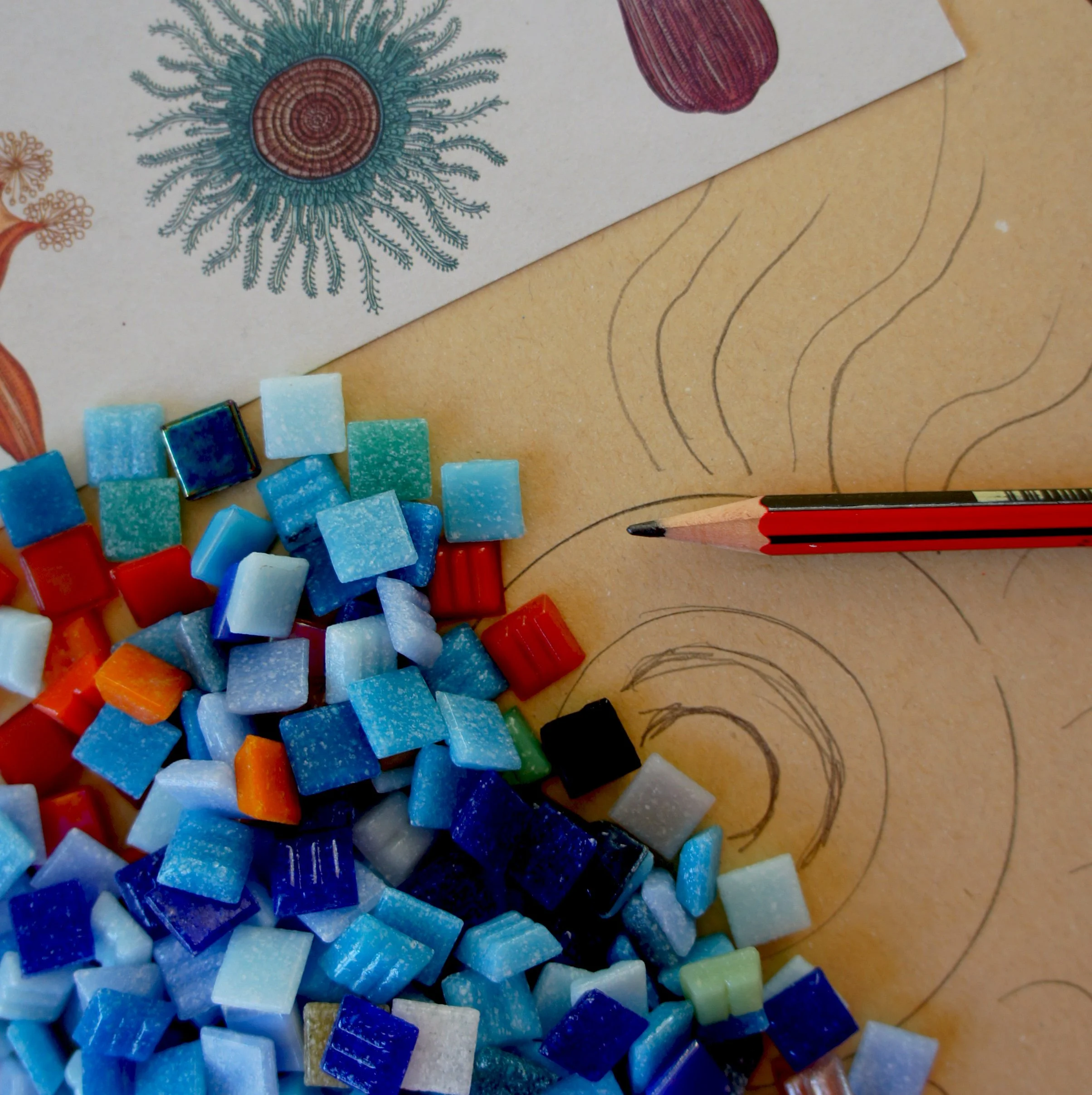 mosaic workshop (002).jpg