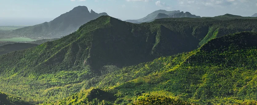 Mauritius_thin.jpg