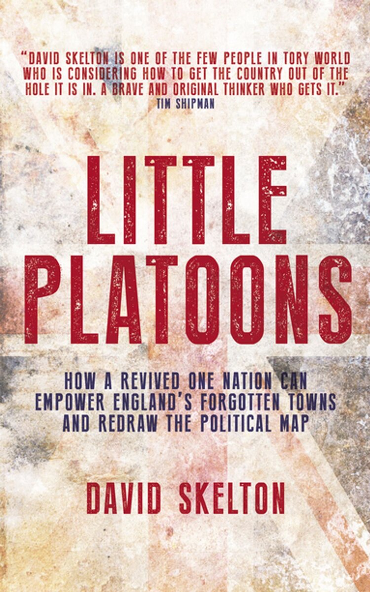 little_platoons_david_skelton_book_cover.jpg