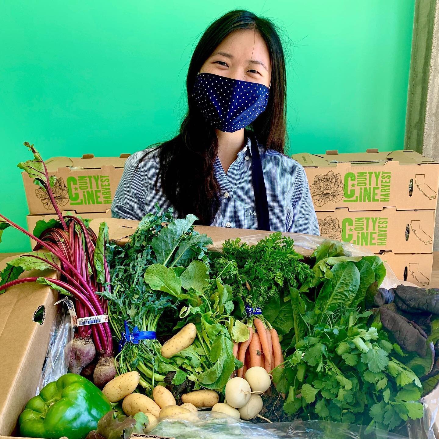 Fresh produce from Country Line Harvest