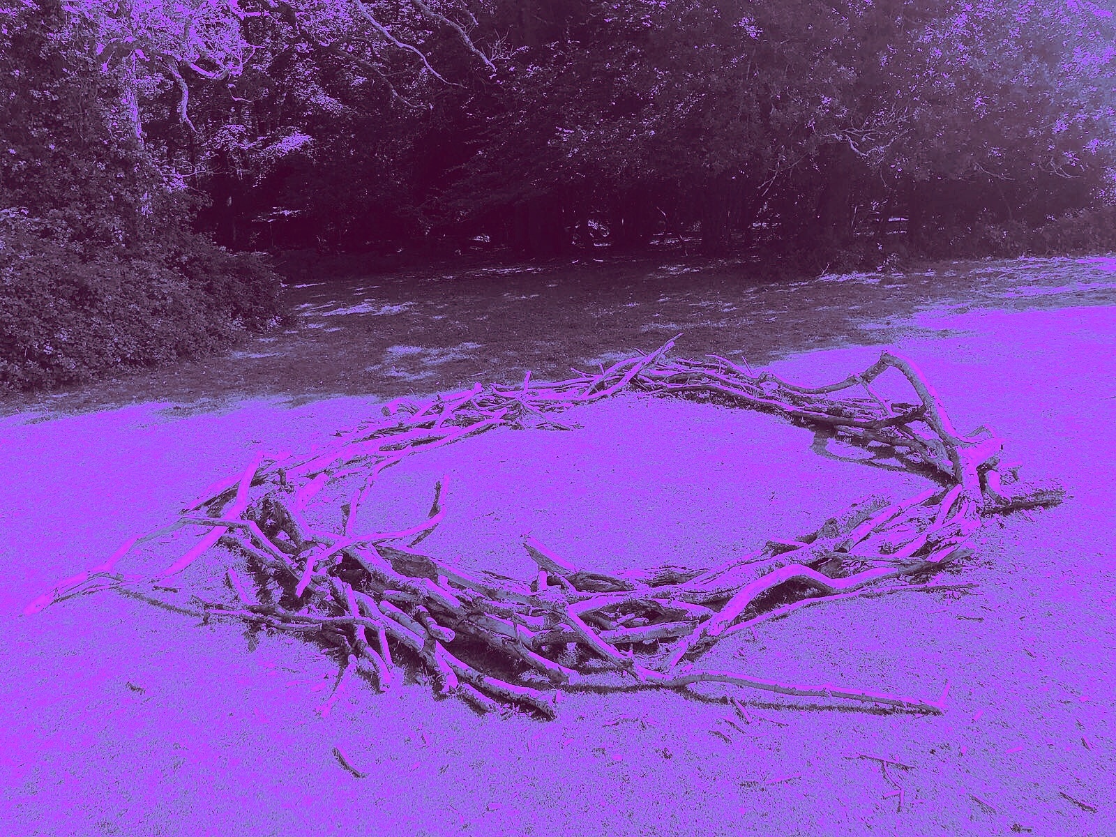 Third Eye Circle // Violet Flame 