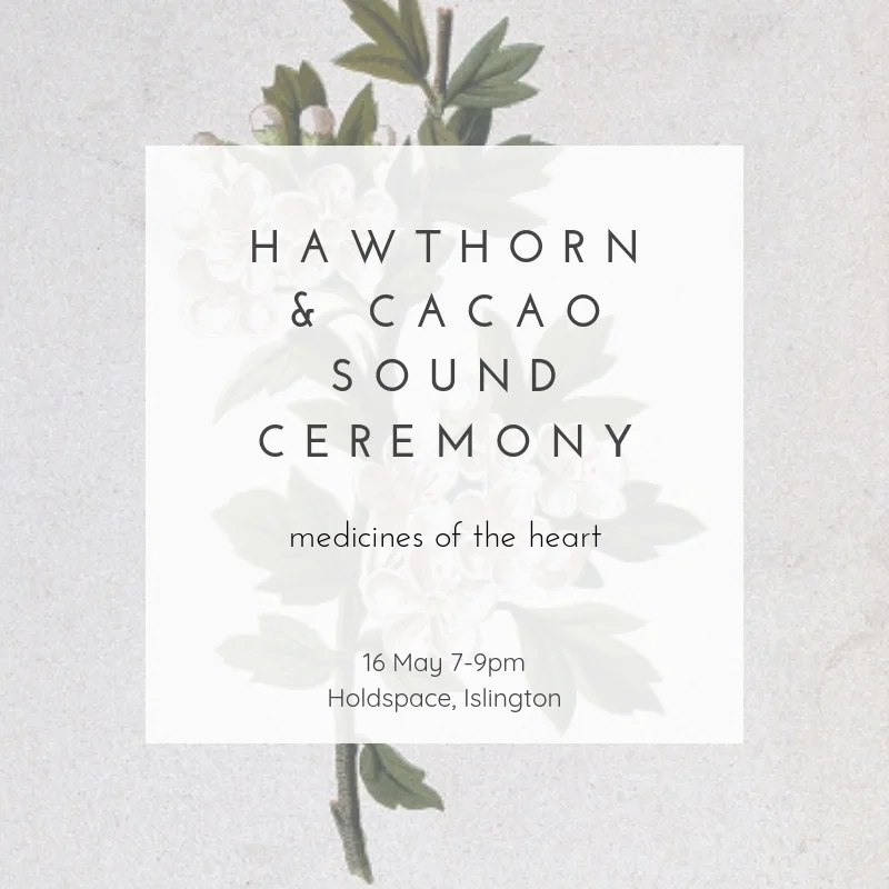 Hawthorn &amp; Cacao Sound Ceremony 
