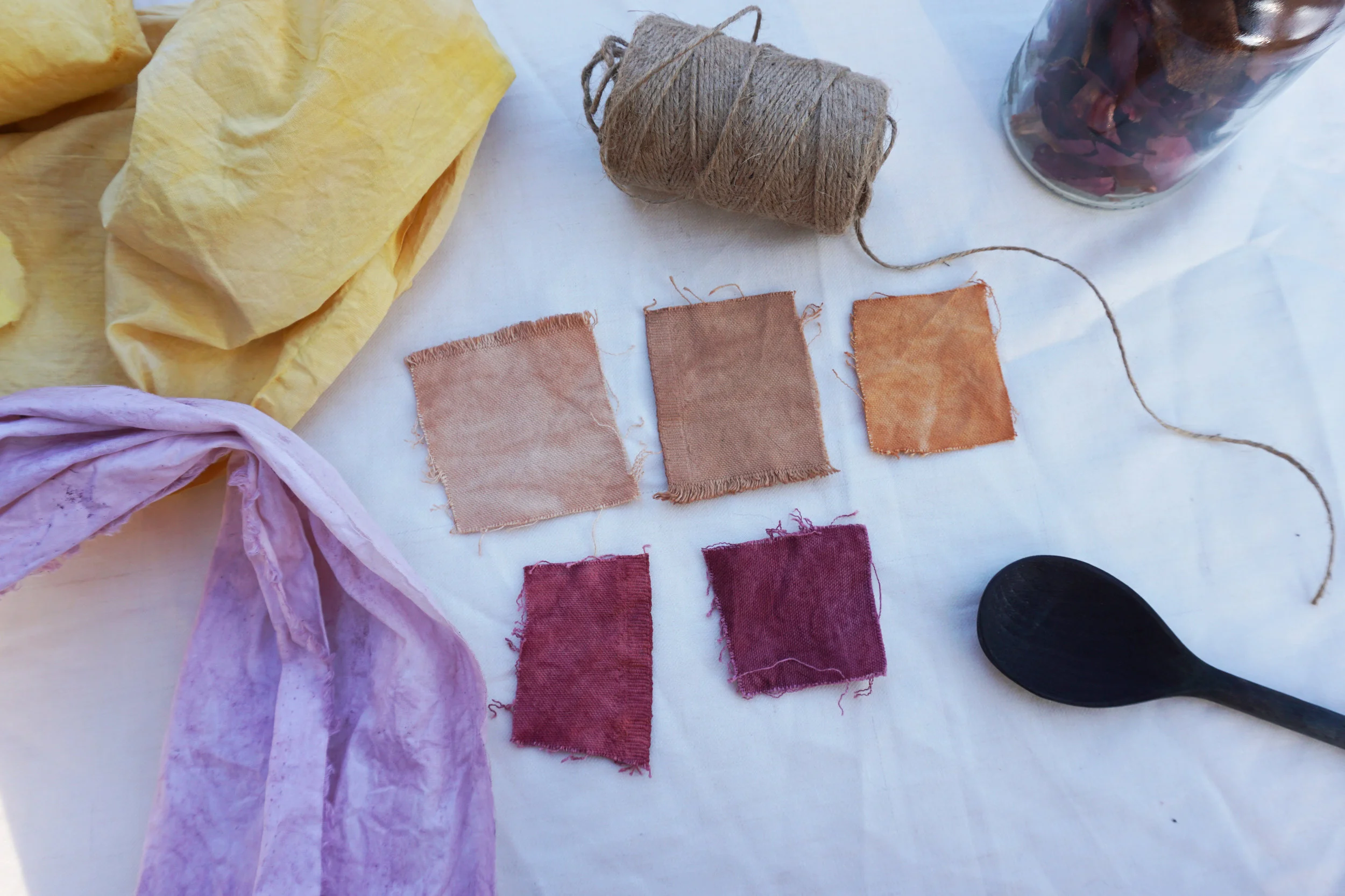 Nature’s Palette : DIY Dye Scarf