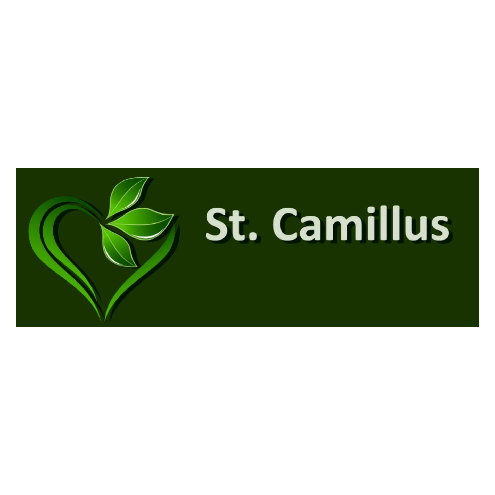 St Camilus.jpg
