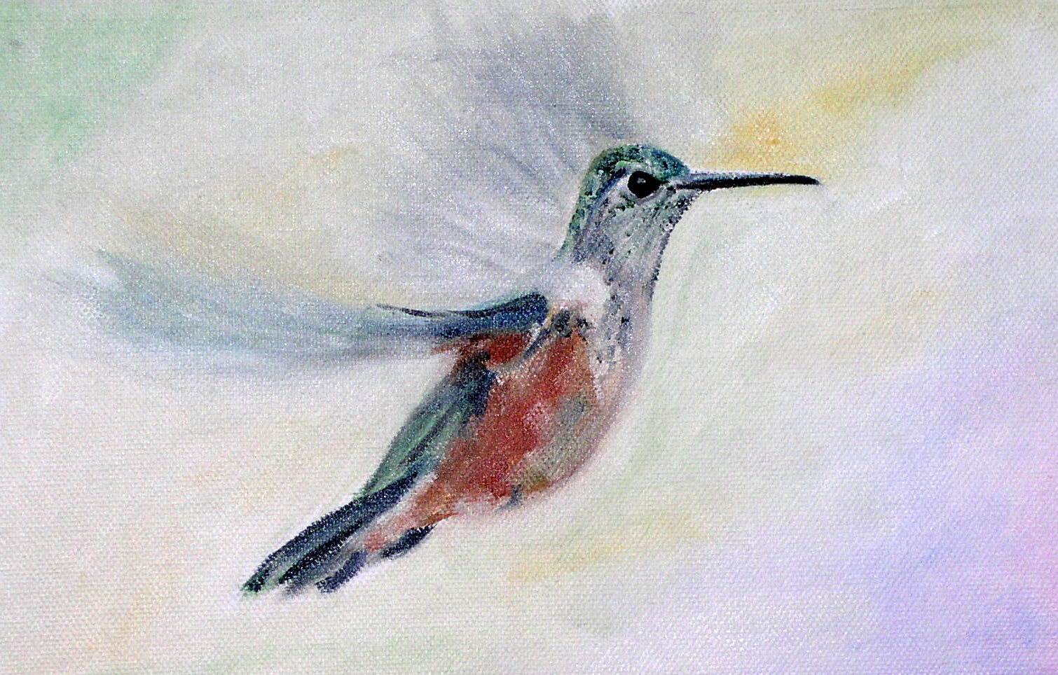 Kolibri