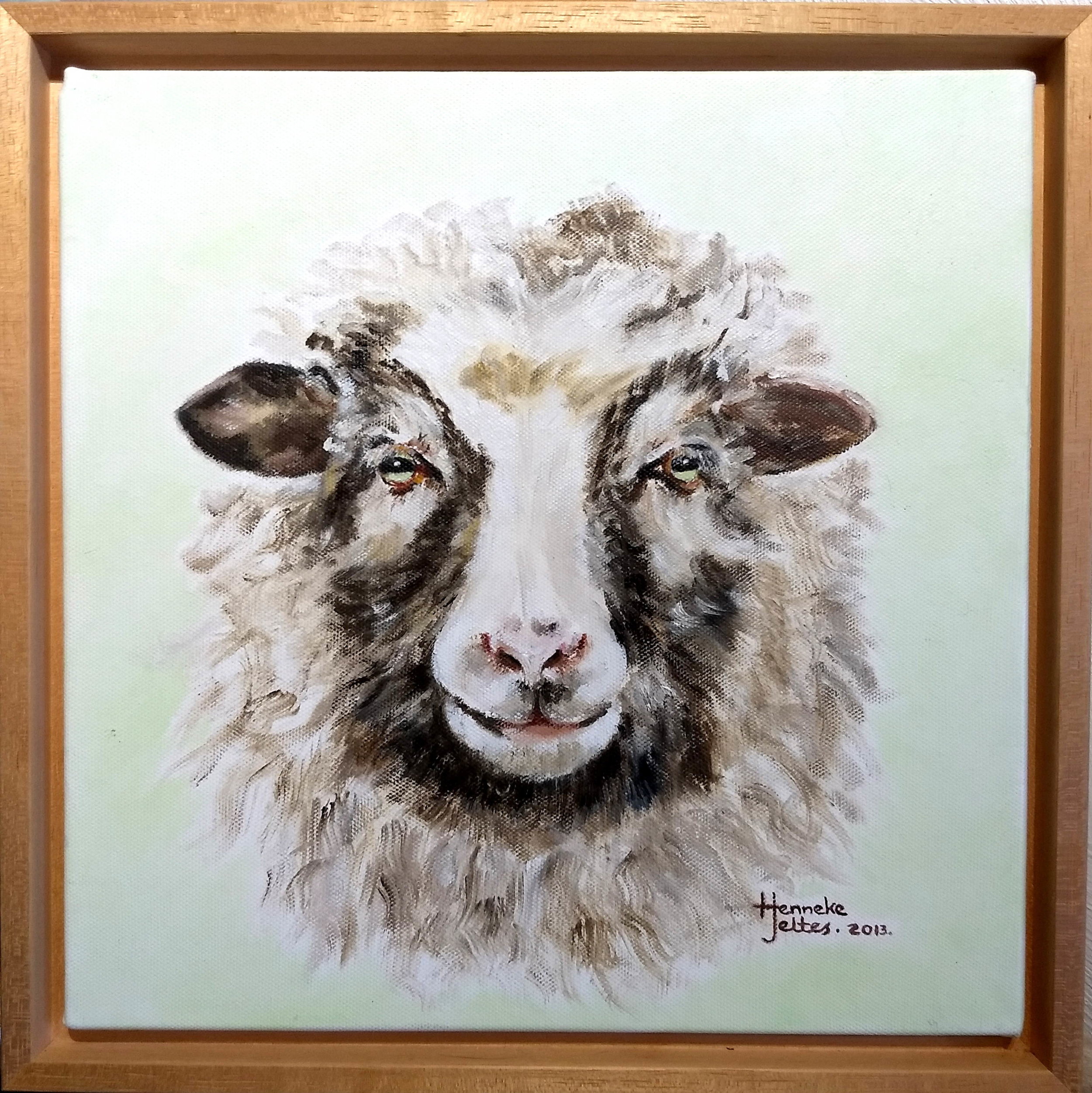 Schaap