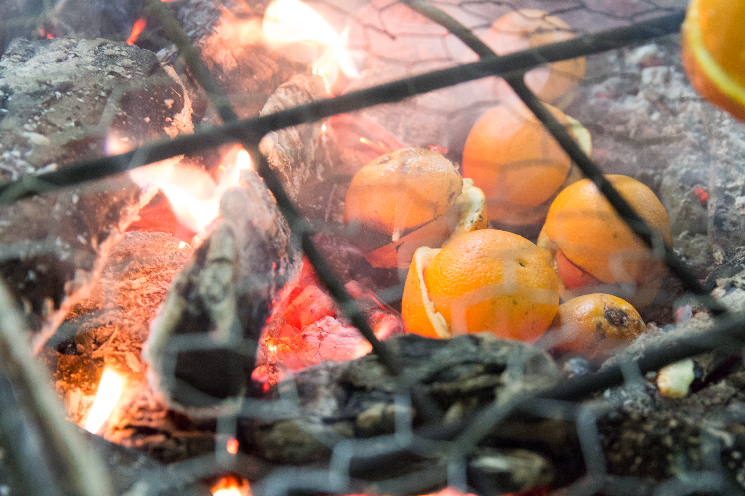 Wildpluk en kokerij (Copy)