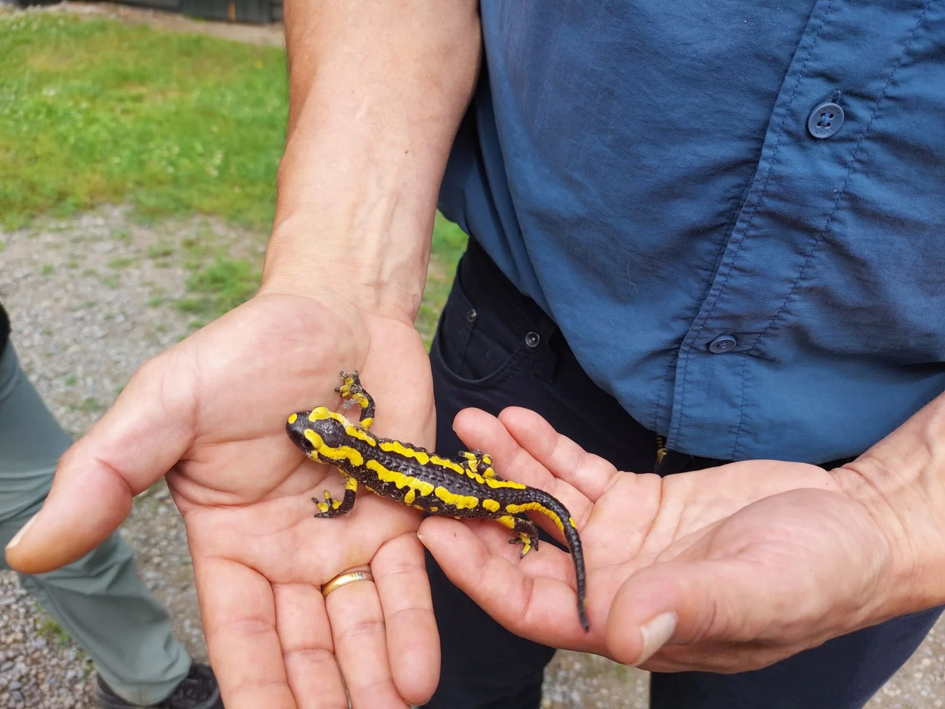 Fluisterwoud: natural farming