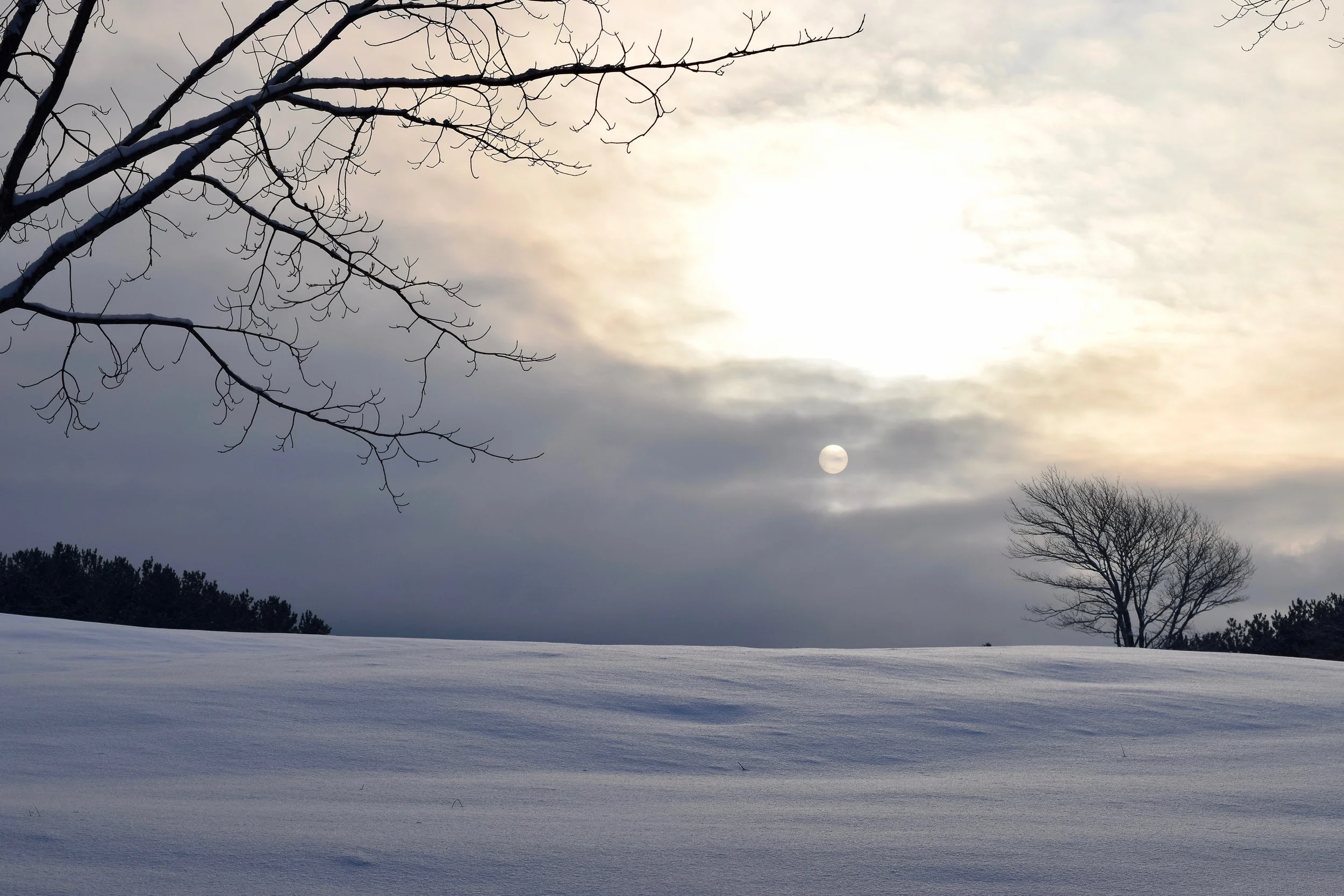 #1 Winter Sun