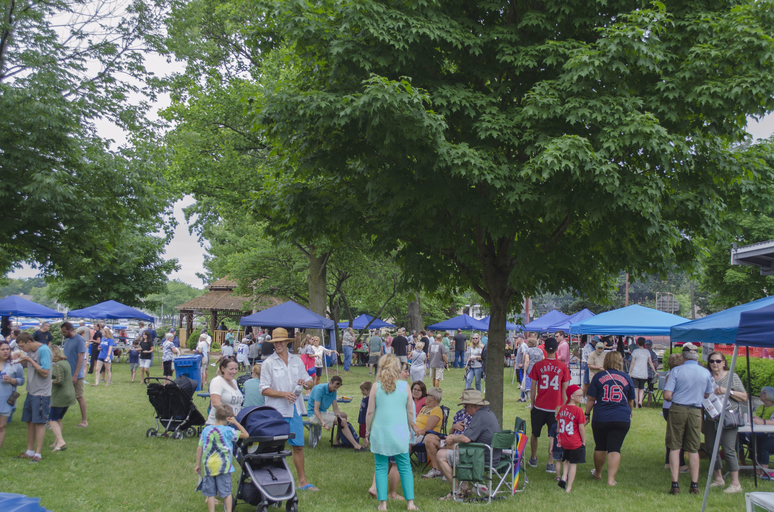 Attendees gather in the town park Saturday, June 9 for Taste of Culver. Local businesses and restaurants had booths set up with food and drinks.