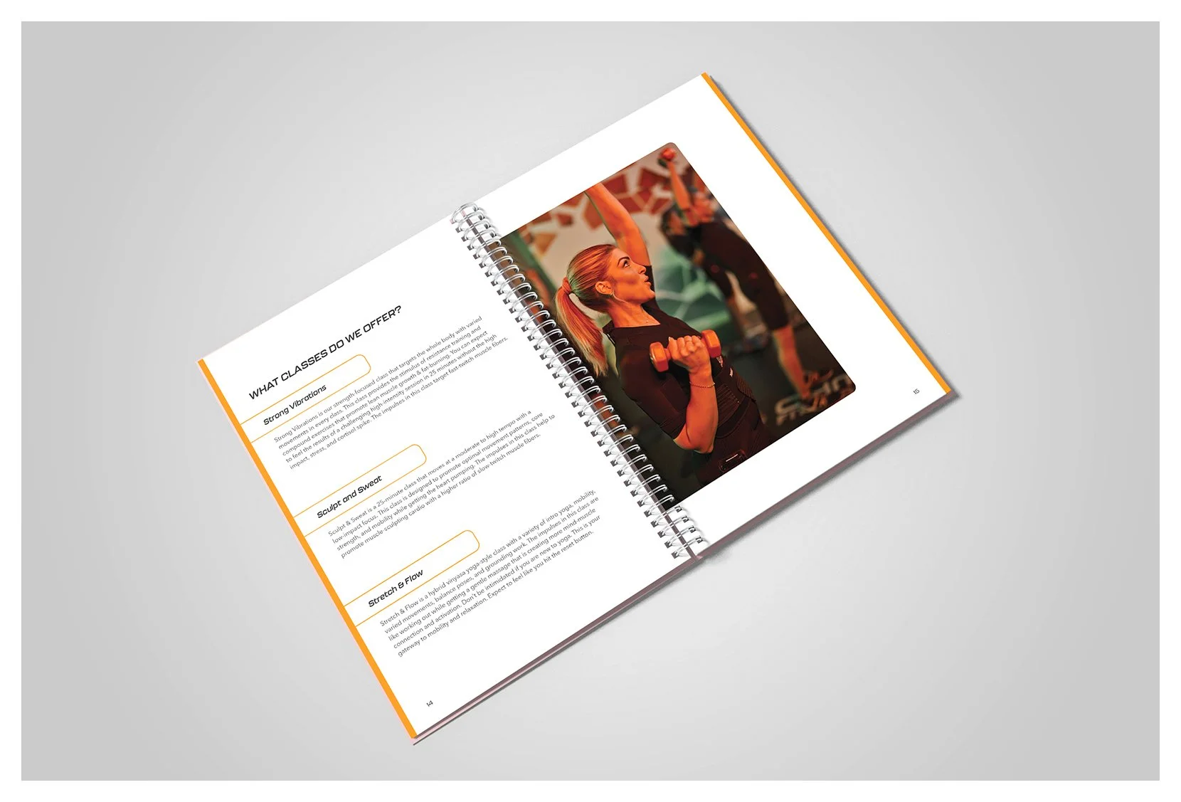 2-OHMieWorkbook.jpg