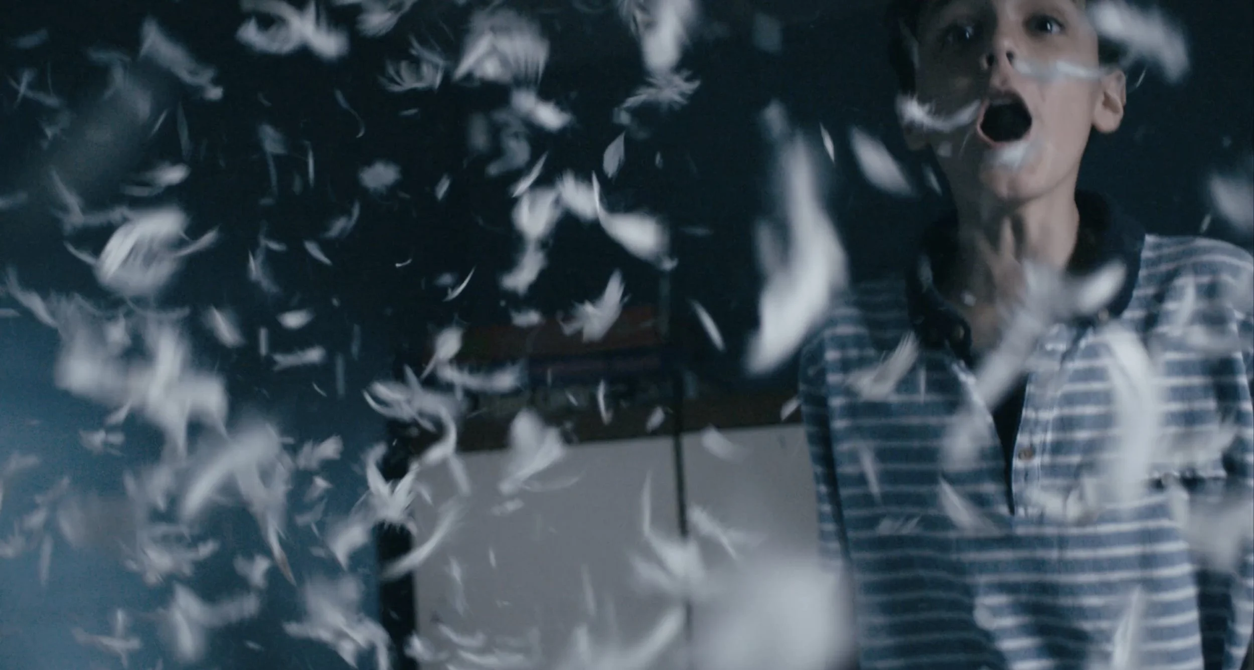 Man Of The House, 2017