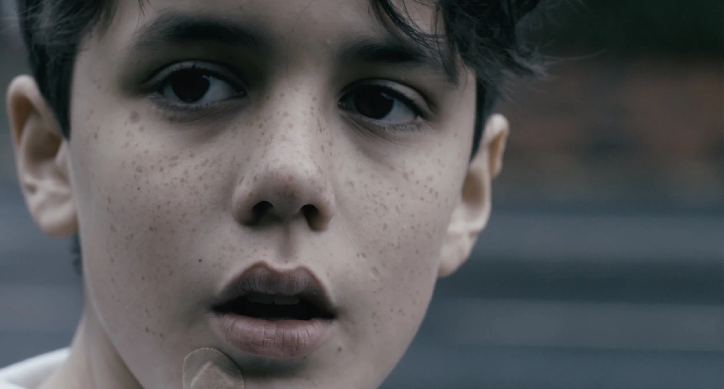 Man Of The House, 2017