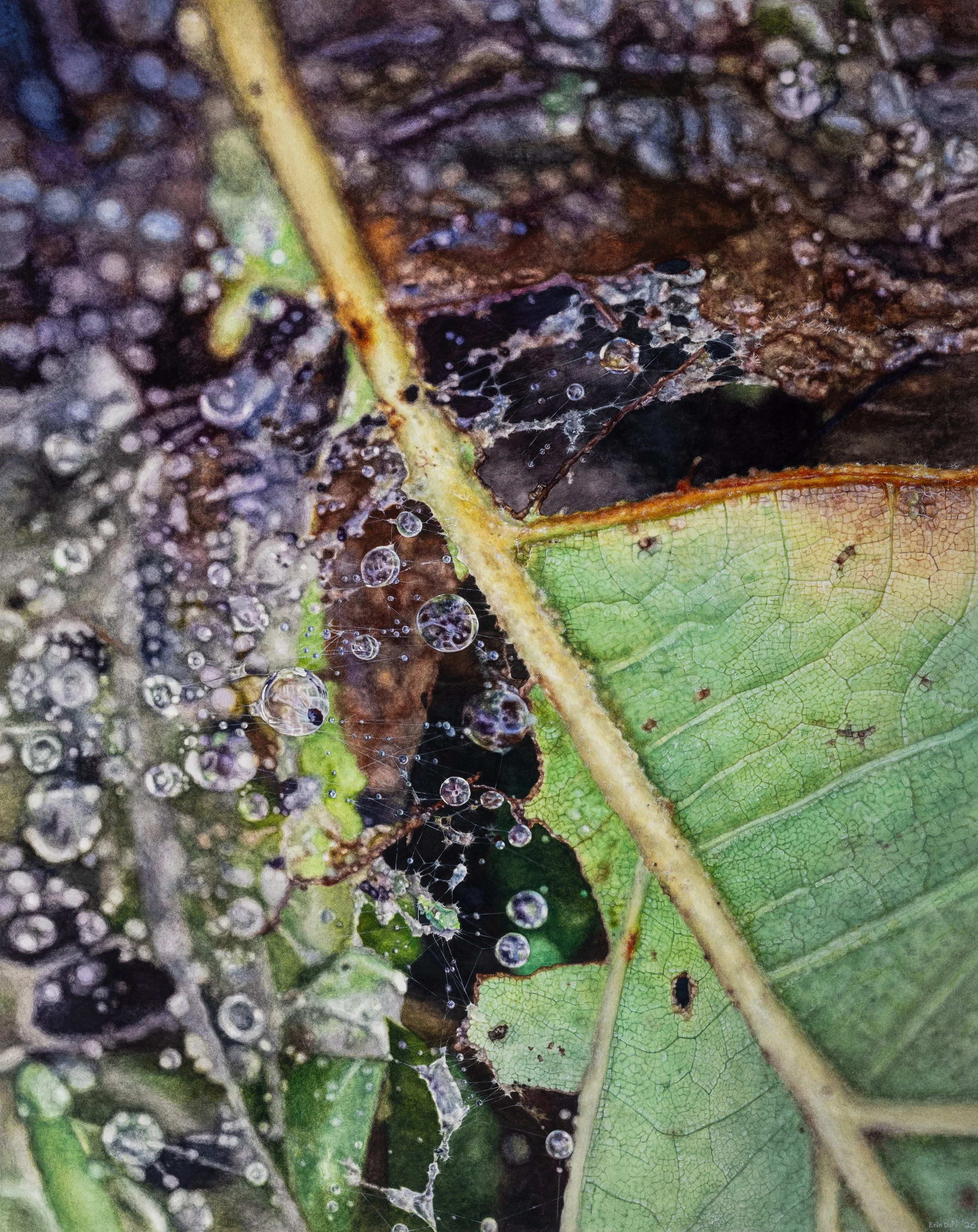 Web