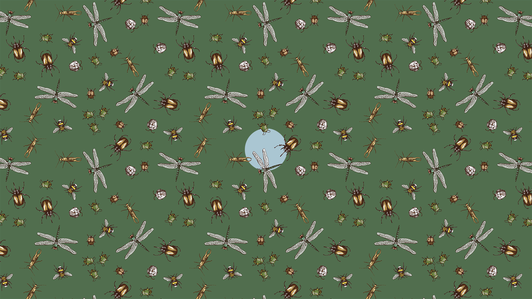 butterfly3s.gif
