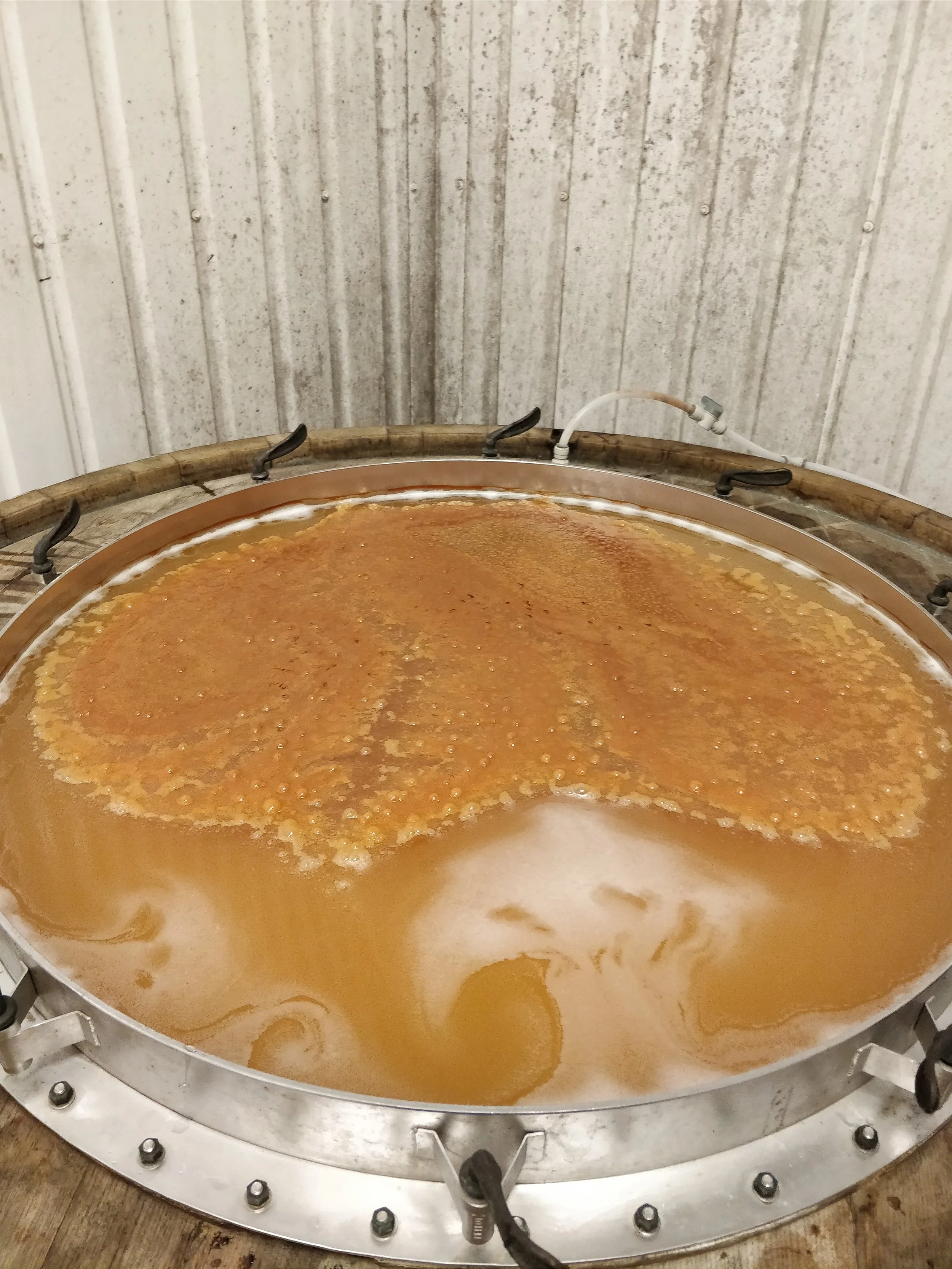 Saison fermenting in a foudre.jpg
