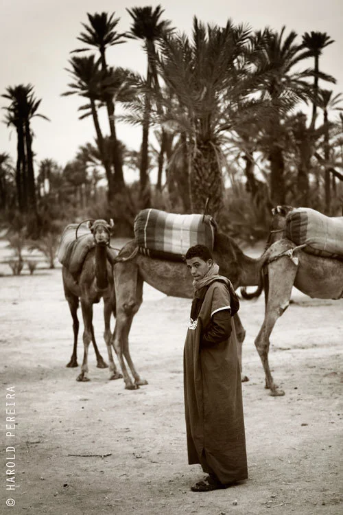 La Palmerie Marrakech