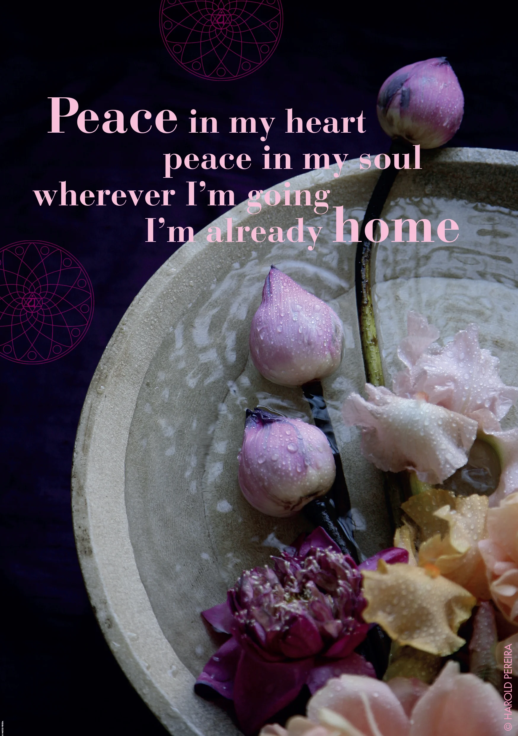 Kaart 5 peace in my heart.jpg