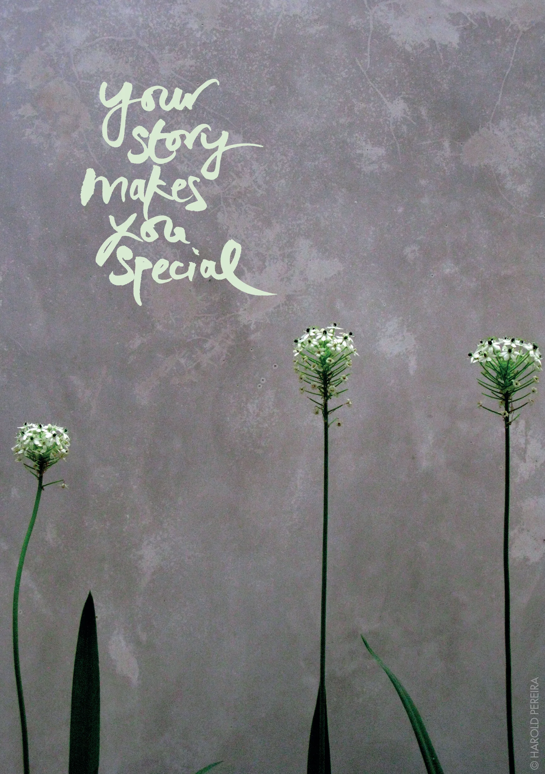 Kaart 10 your story makes you special.jpg