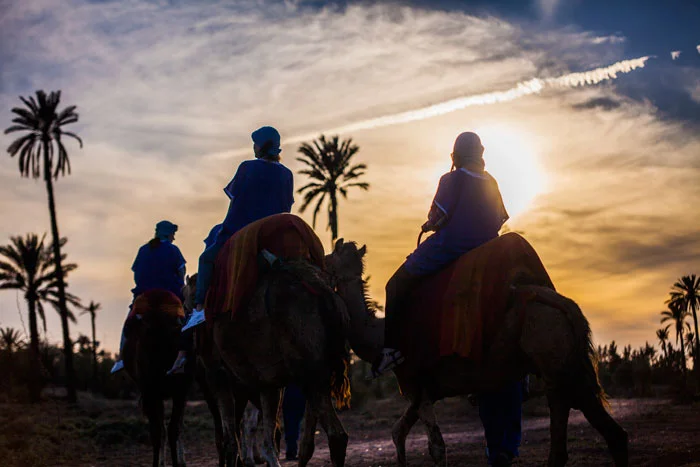La Palmerie Marrakech