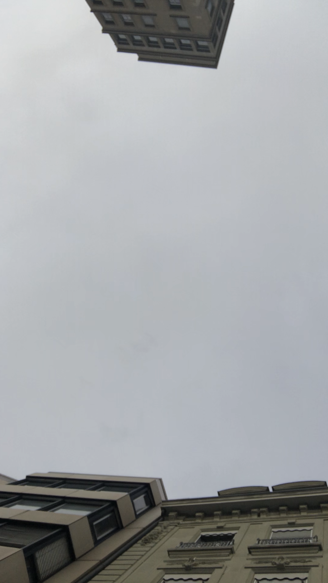 IMG_2427.PNG