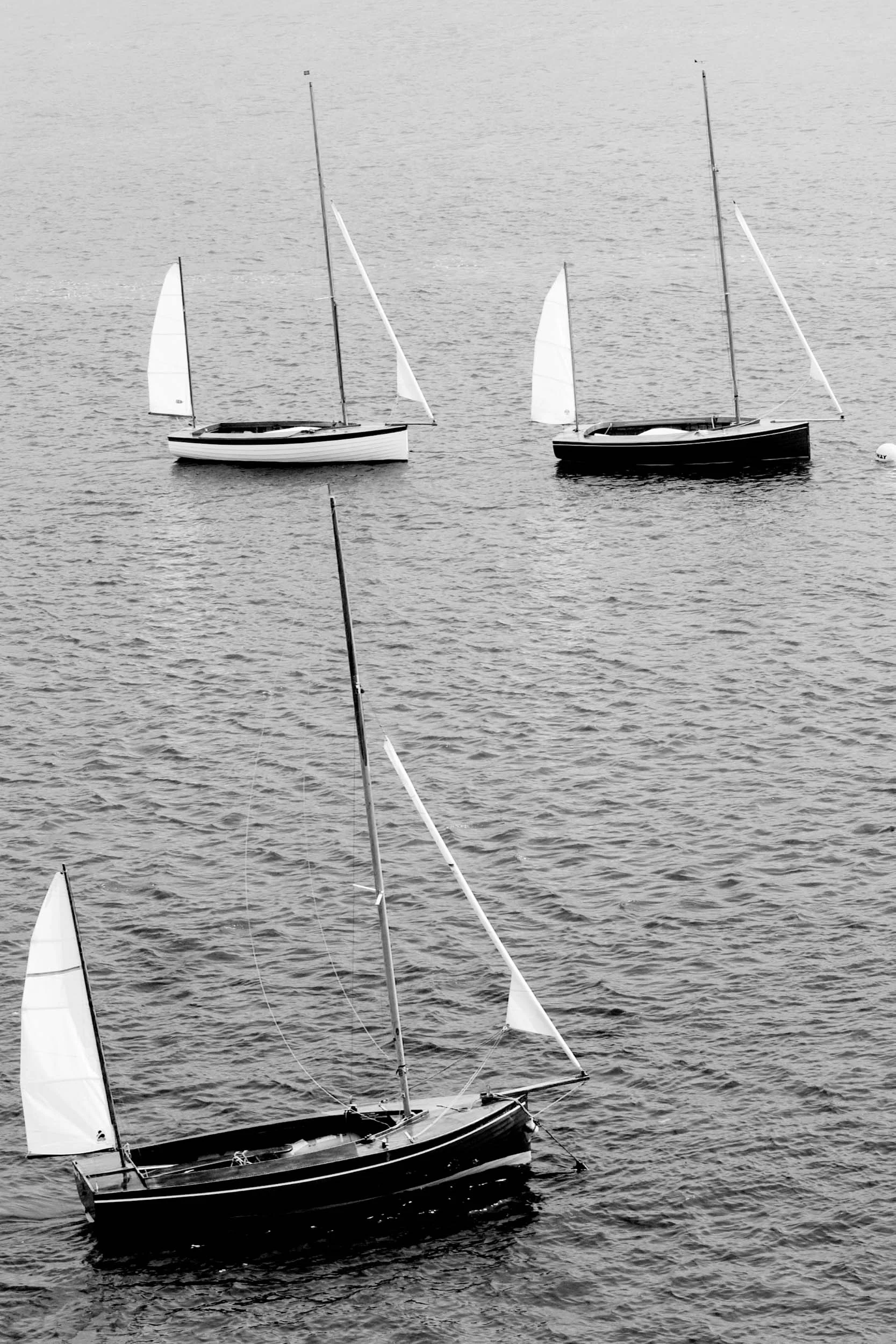 Salcome Yawls 3 4168 12x8.jpg