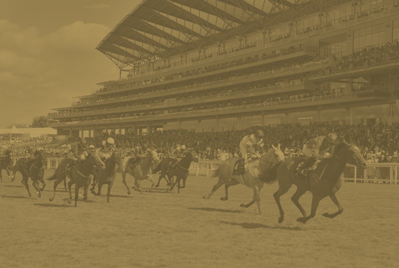 ASCOT-2.jpg