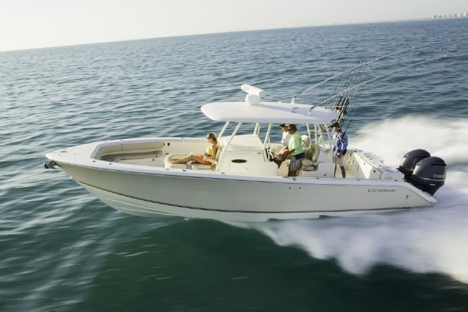 Cobia 344.jpg