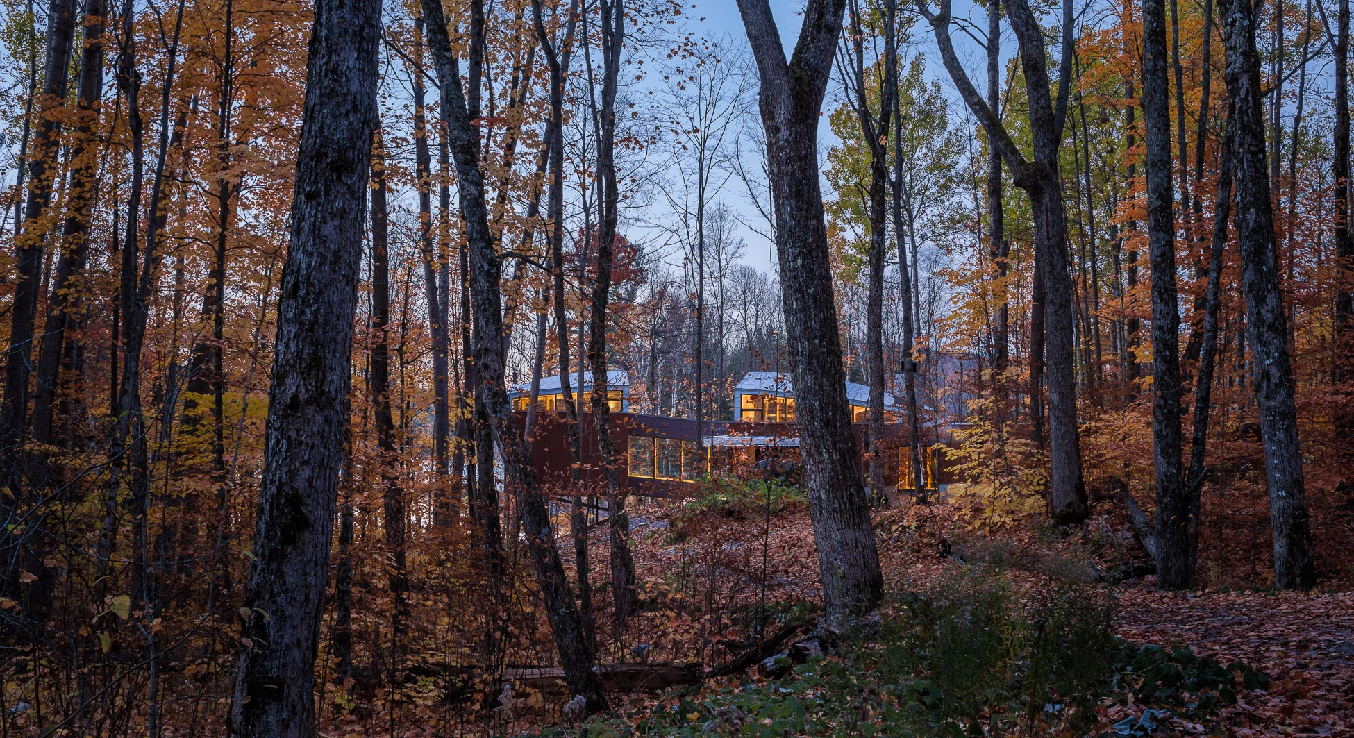 Oblong Lake Exterior Landscape