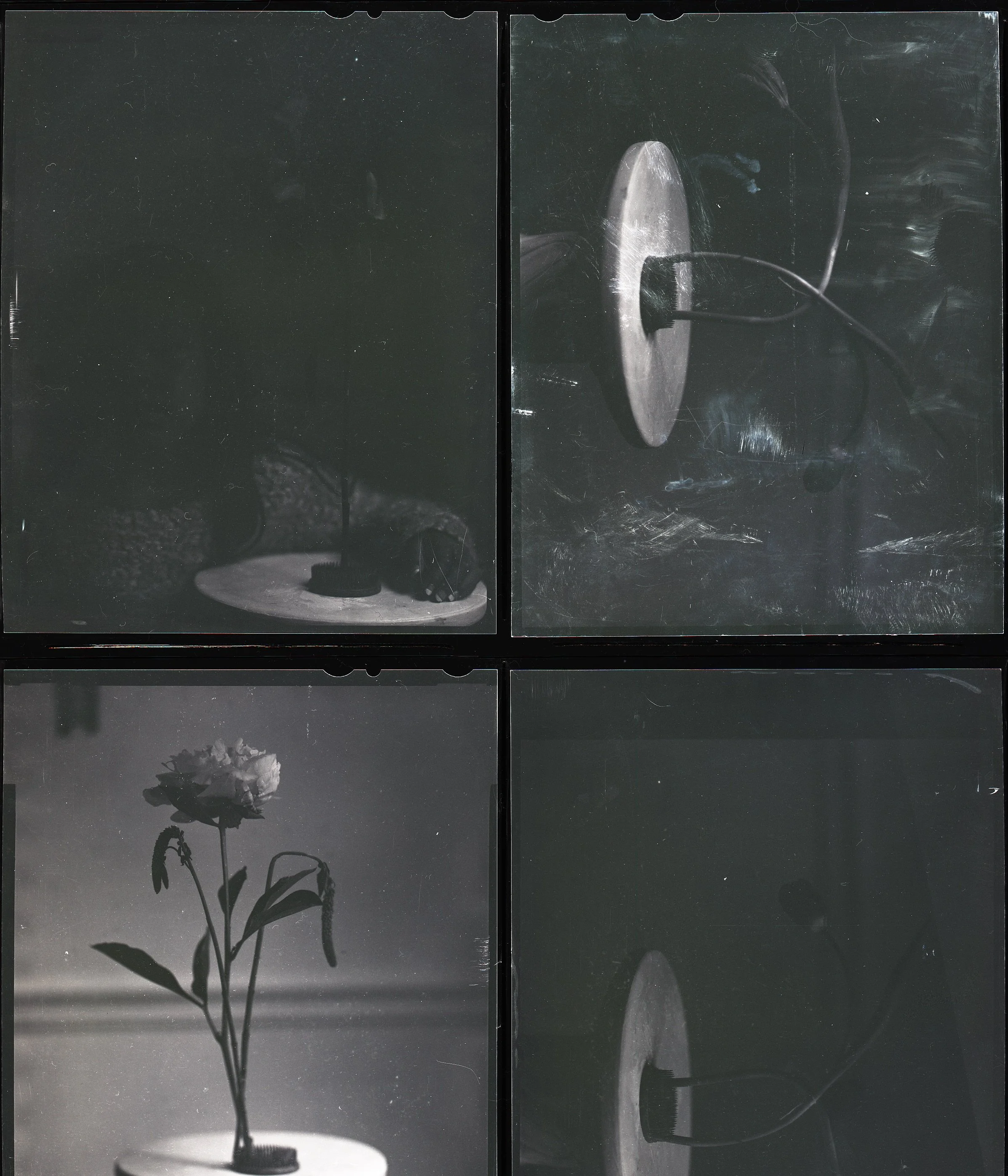 Mimi_Flowers06.jpeg
