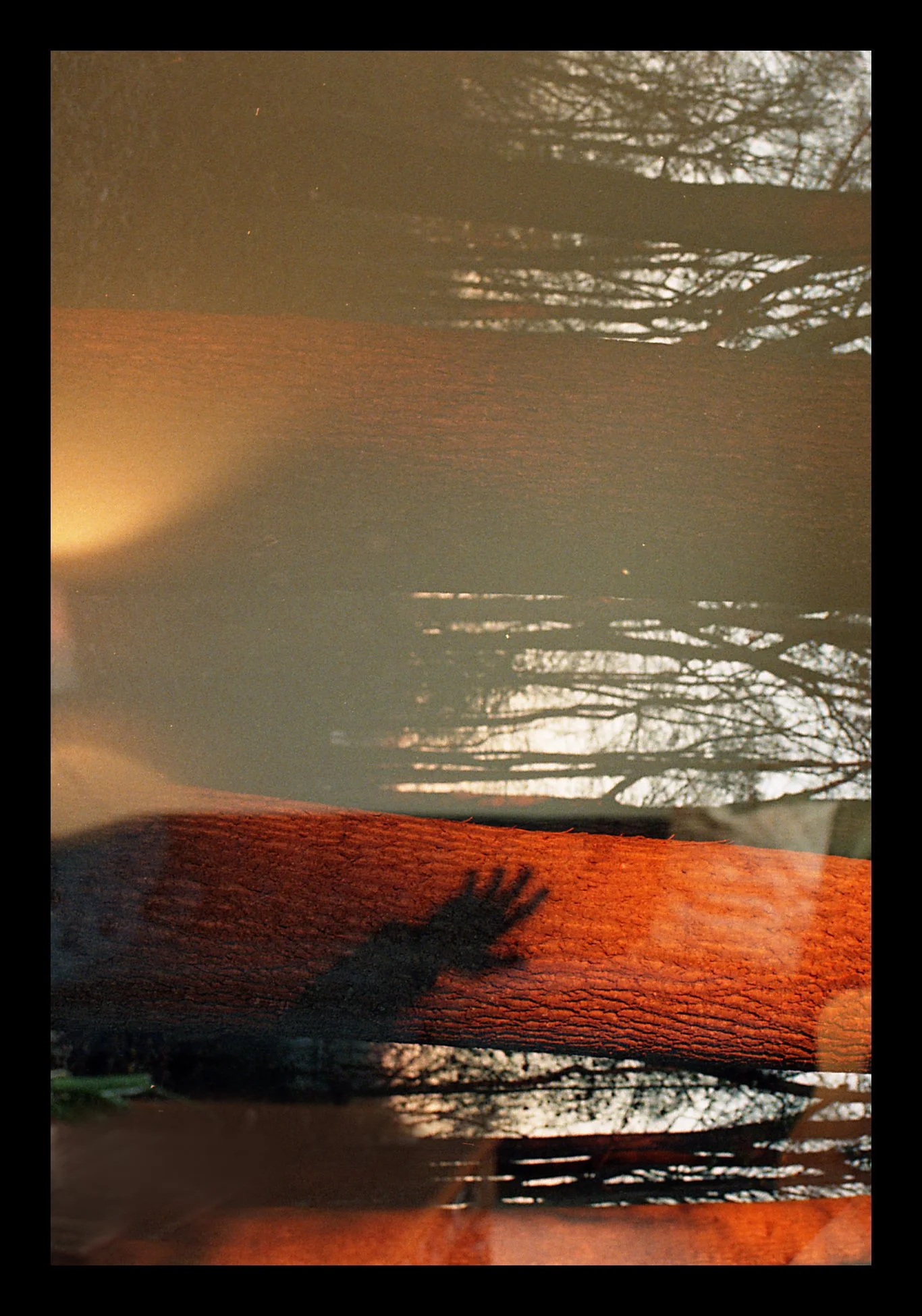 2-NG_DoubleExposureRoll011 copy 2.jpg