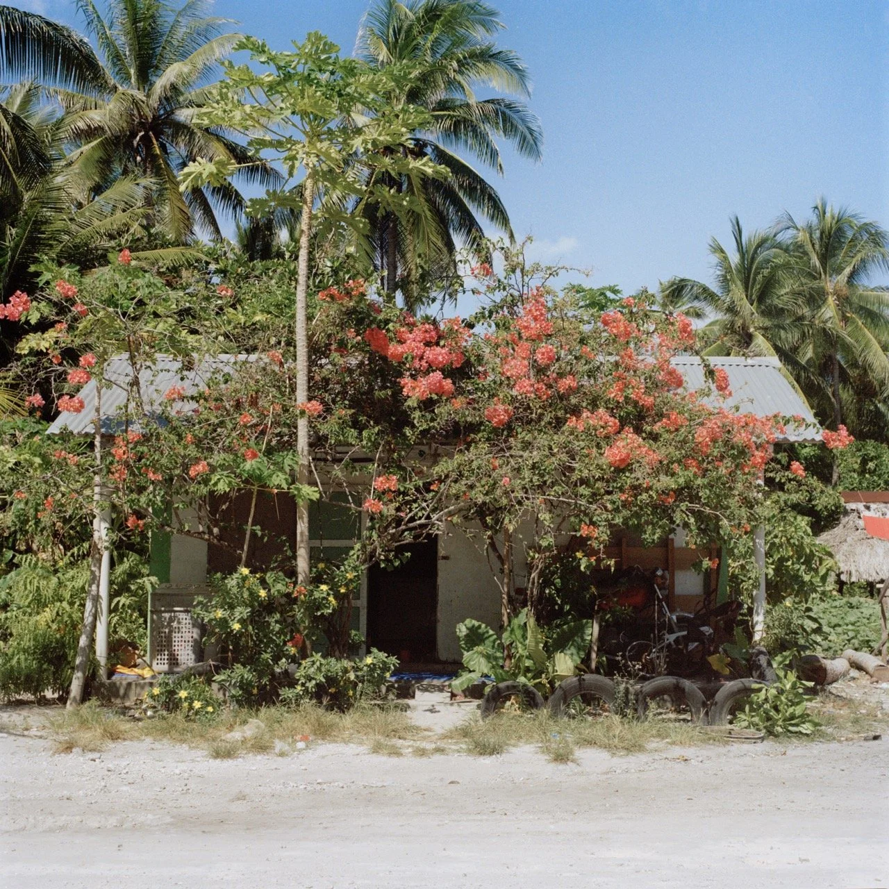 34_24x24 copy Large.jpeg